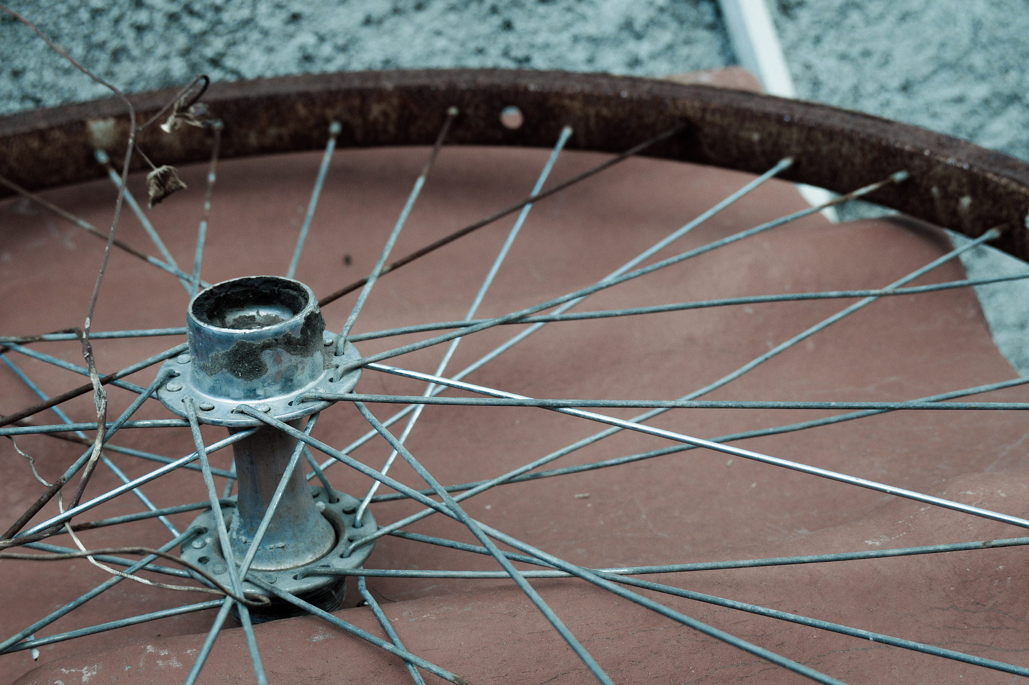 E 18-50mm F4-5.6 sample photo. Forgotten photography