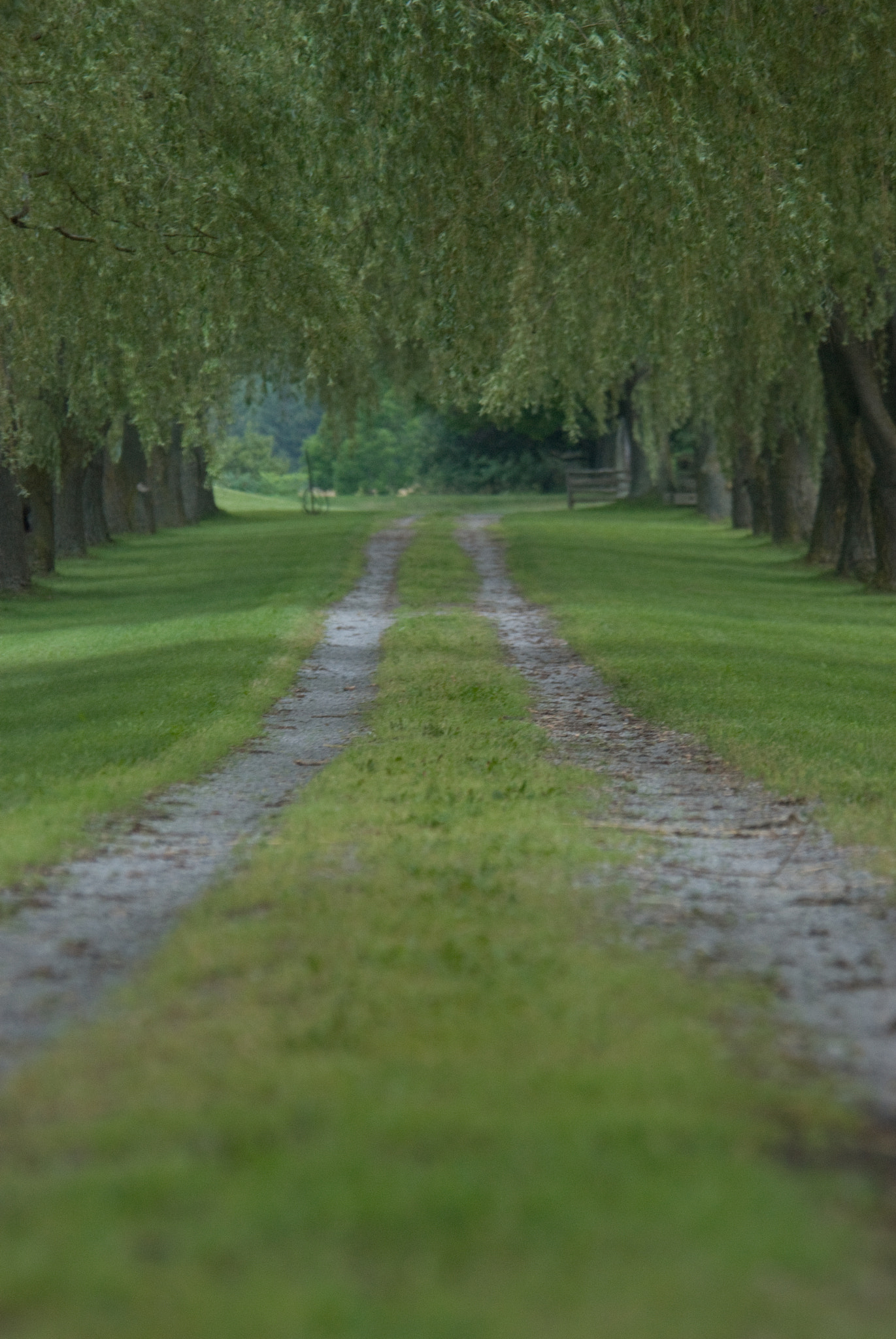 Nikon D80 sample photo. Down the road photography