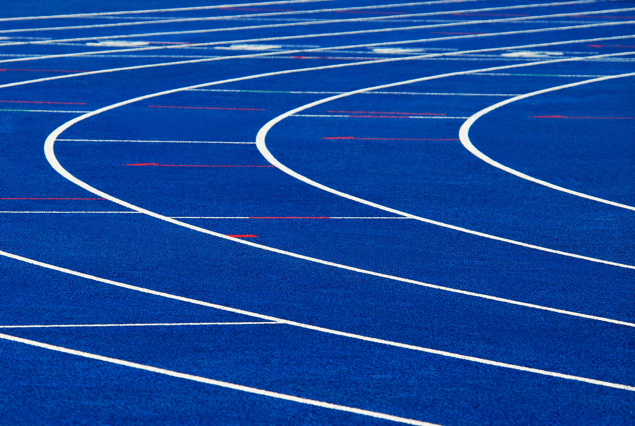 Nikon D80 sample photo. Run within the lines photography