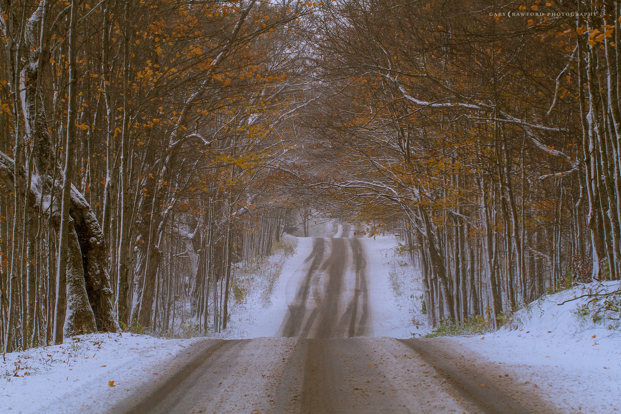 Canon EOS 7D + Sigma 50-500mm F4.5-6.3 DG OS HSM sample photo. Country road and first snowfall photography
