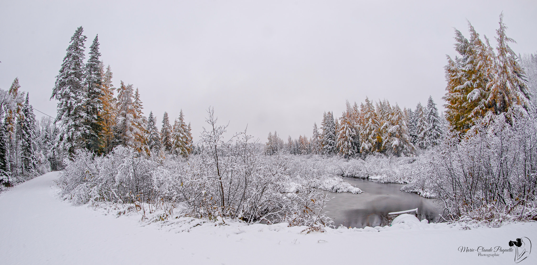 Nikon D610 sample photo. Blanc! en ce 28 oct 2016 photography