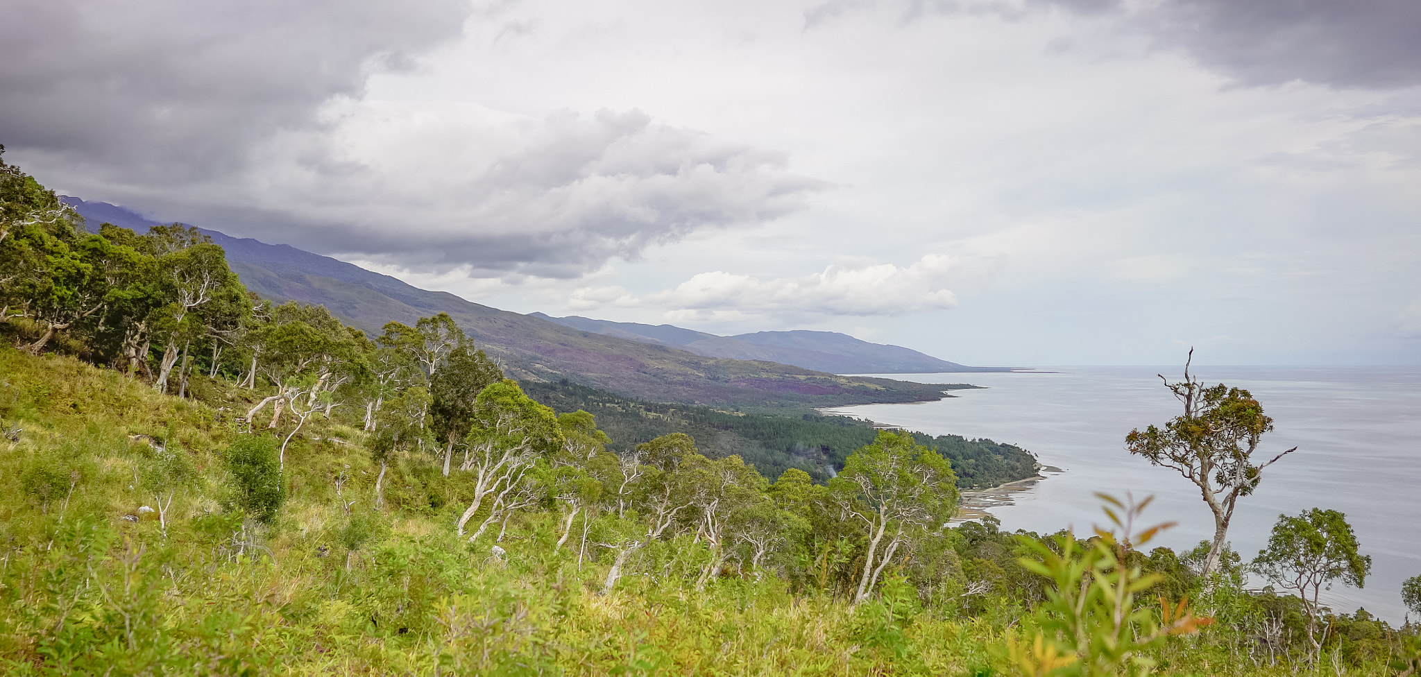 Sony a7S + Sony Sonnar T* FE 35mm F2.8 ZA sample photo. New caledonia east coast photography
