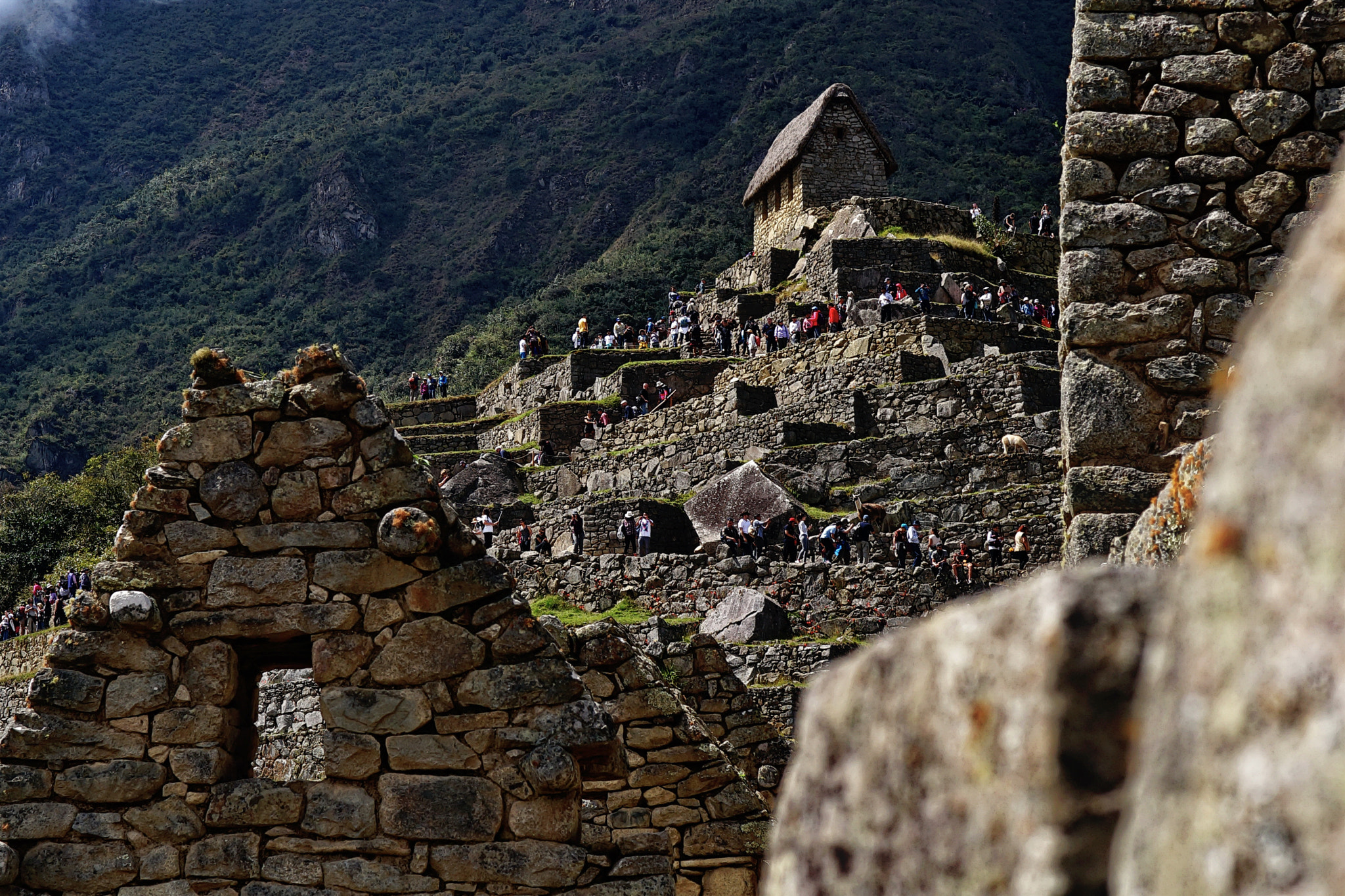 Sony a99 II + Sony 50mm F1.4 sample photo. Inca guardian house photography