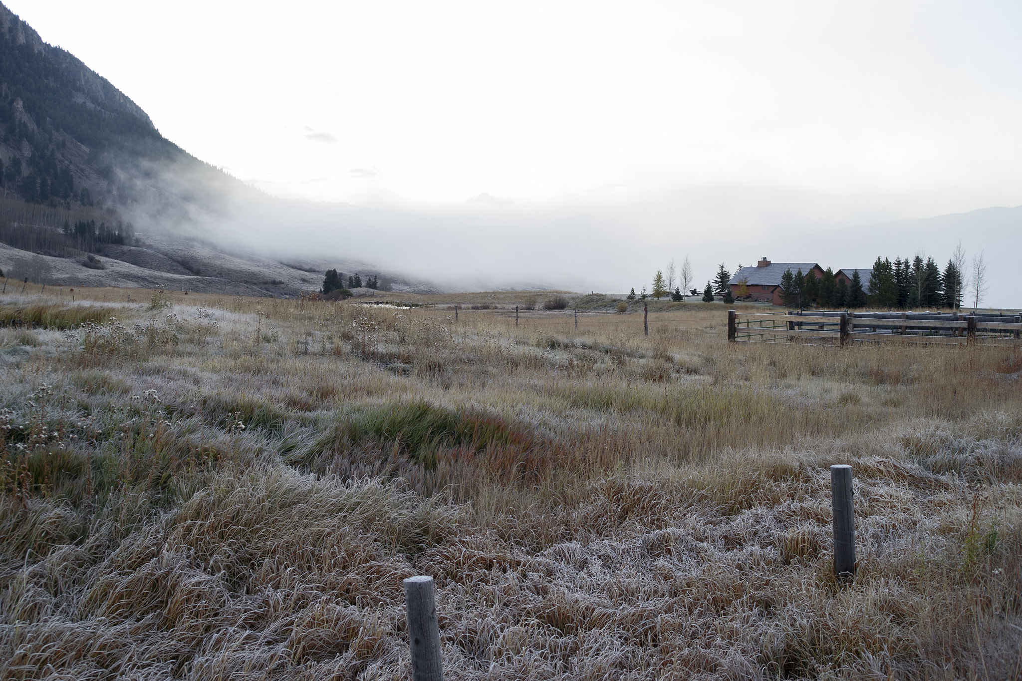 Sony a7 + 35-70mm F4 sample photo. Cold morning 3 photography