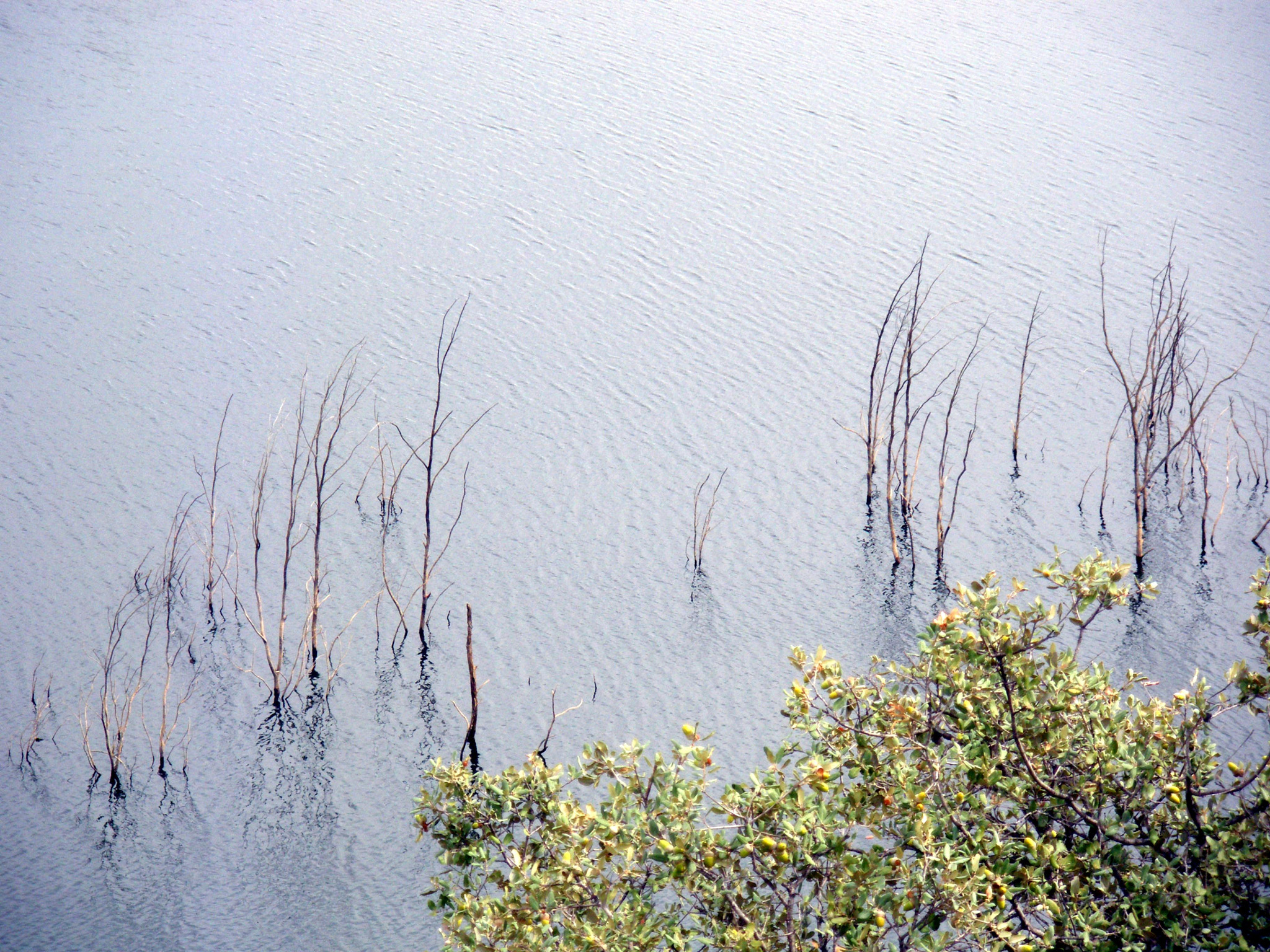 Pentax Optio M60 sample photo. Water and blue photography