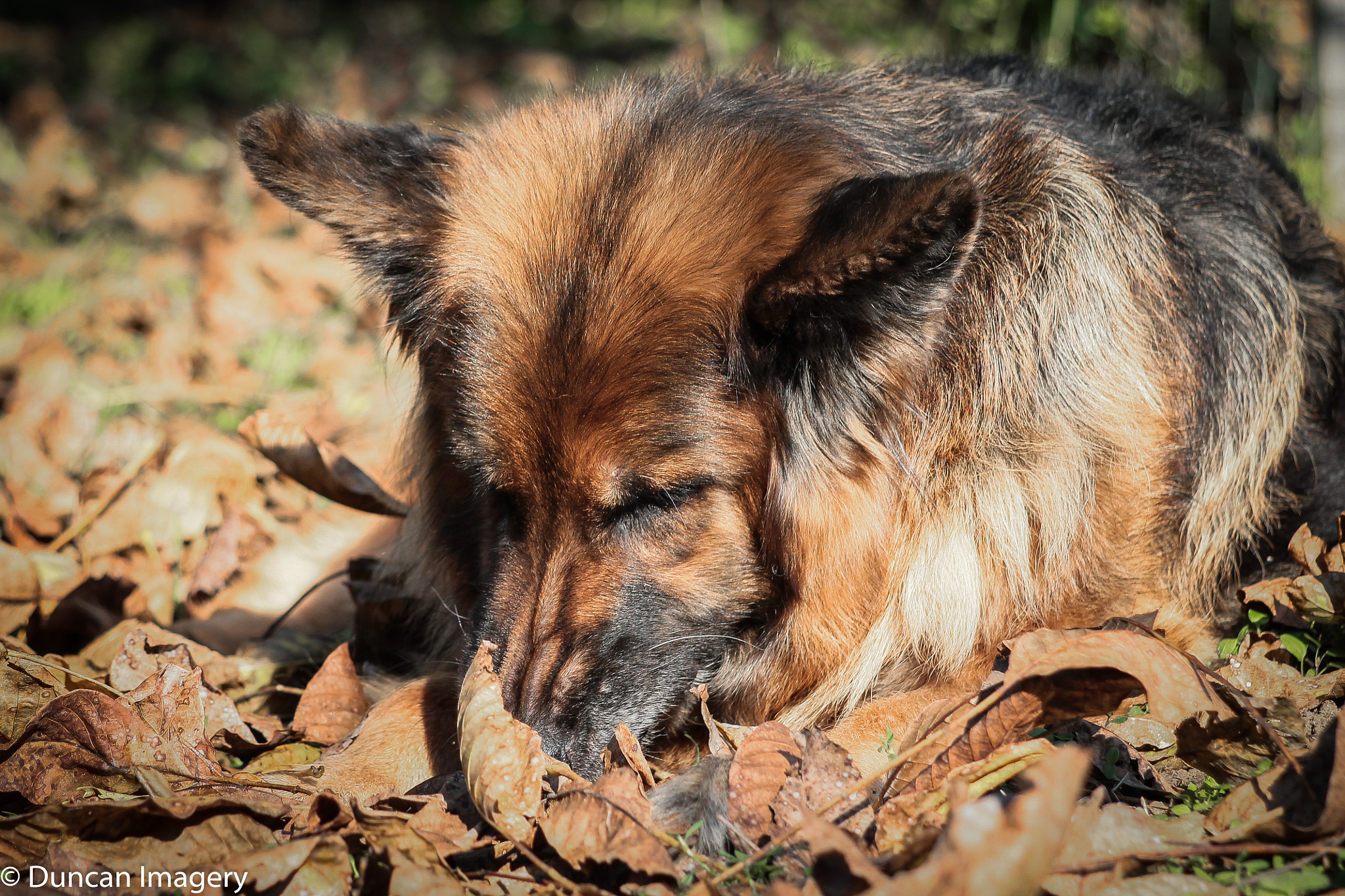 Canon EF 80-200mm F4.5-5.6 II sample photo. Lost and found :-) photography