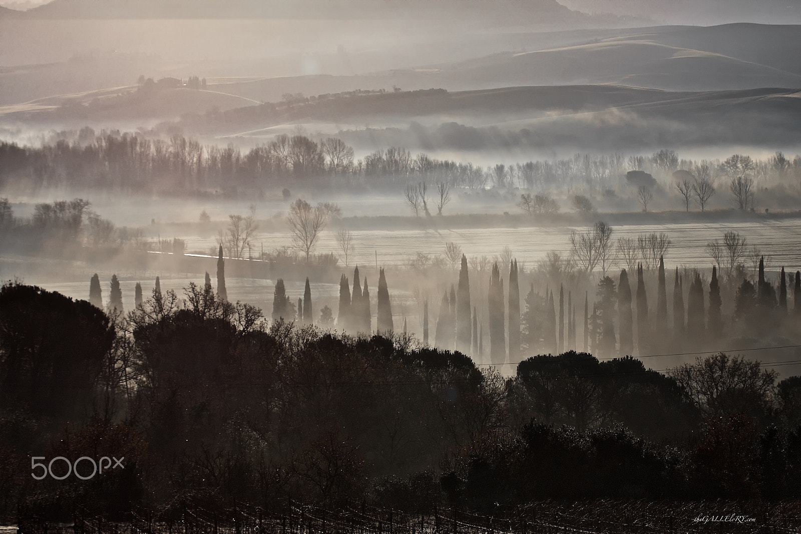 Canon EOS 40D + Canon EF 70-200mm F4L IS USM sample photo. Rise and fall iii photography