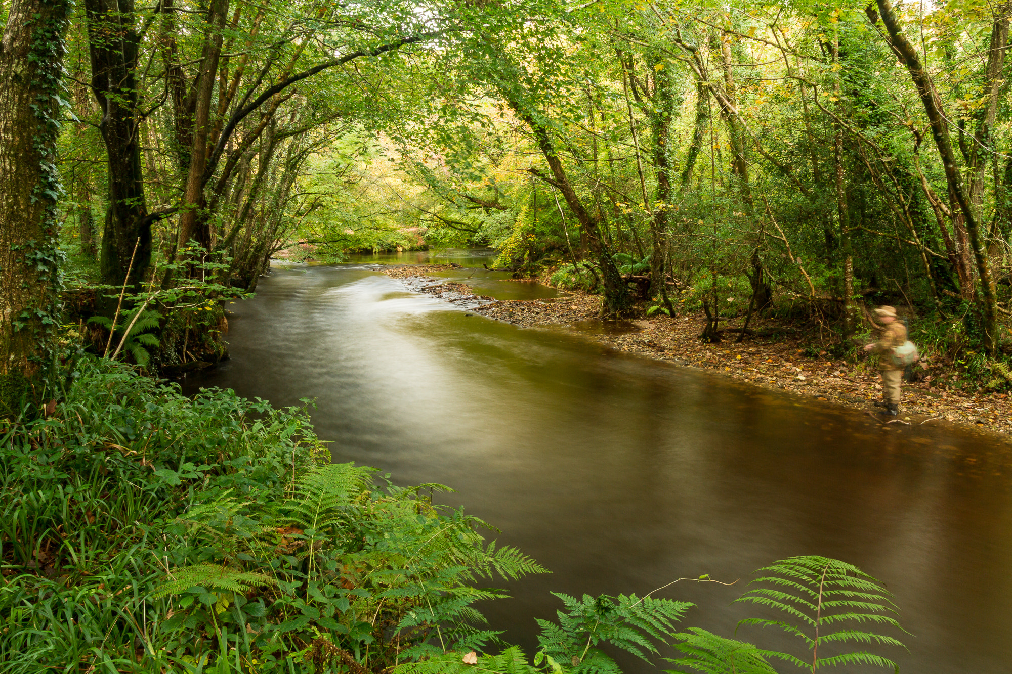Canon EOS 7D + Sigma 18-50mm f/2.8 Macro sample photo. River fowey photography