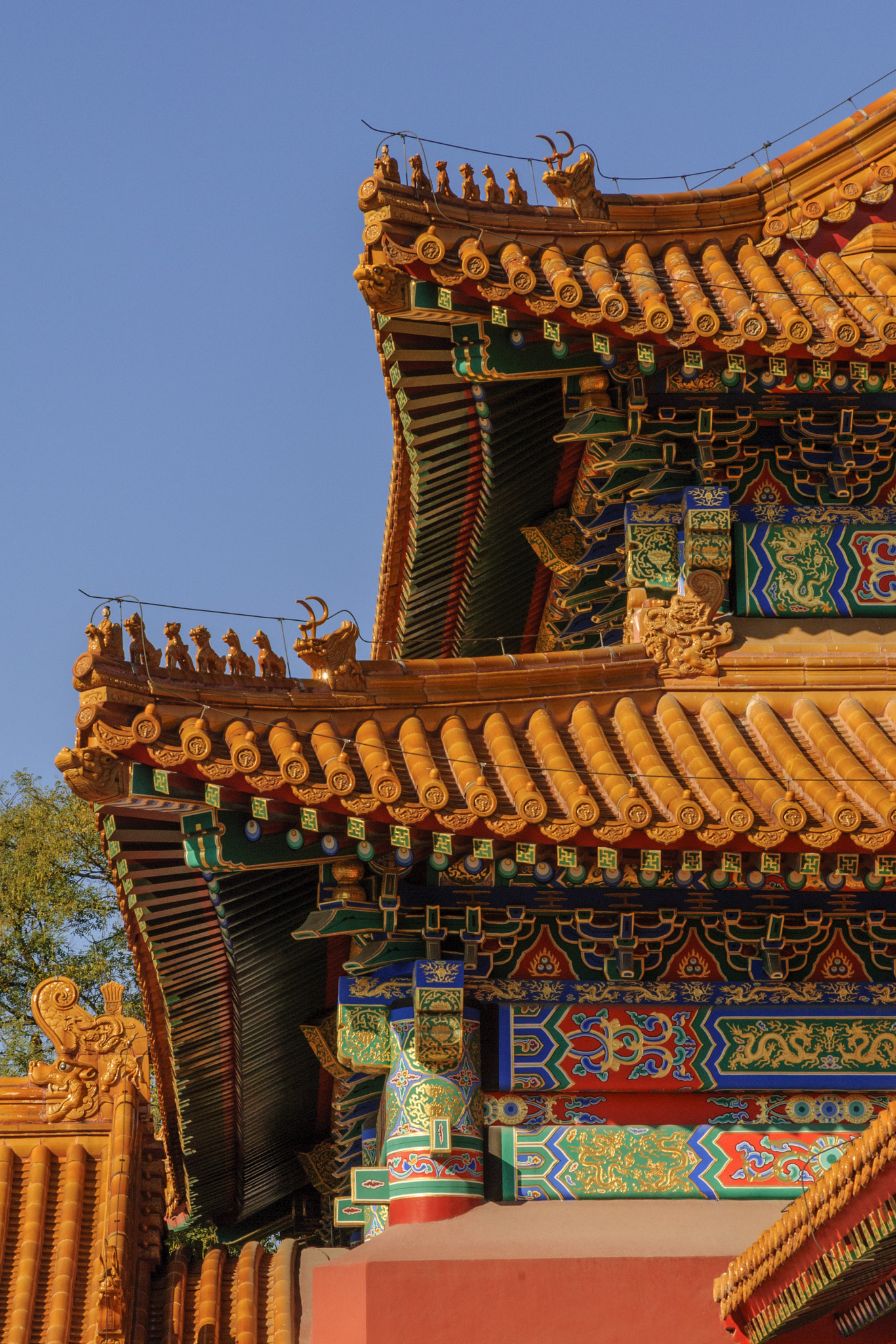 Nikon D2X sample photo. Forbidden city photography