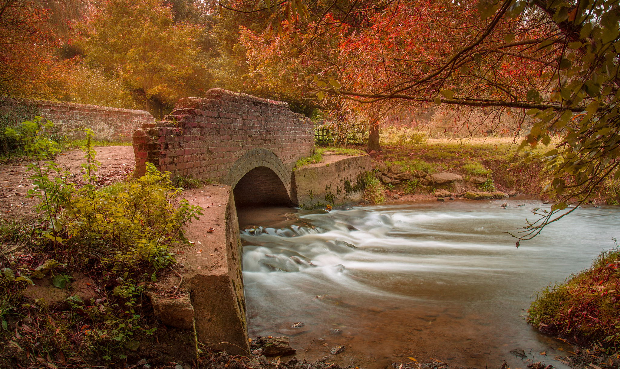 Canon EOS-1D Mark IV sample photo. Autumn stream photography