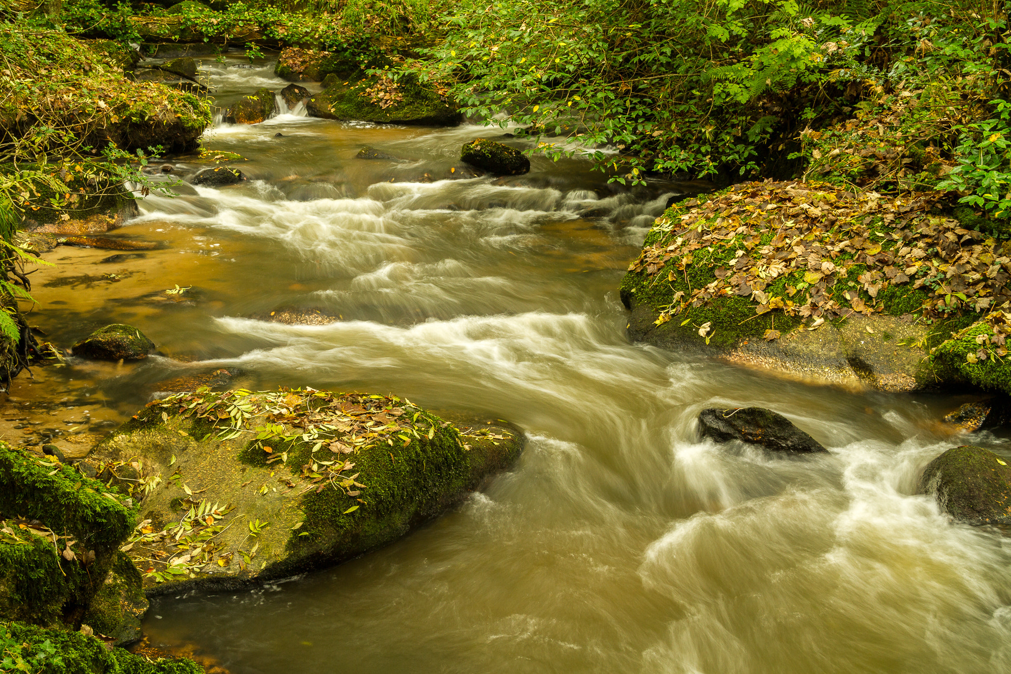 Canon EOS 7D + Sigma 18-50mm f/2.8 Macro sample photo. River par photography