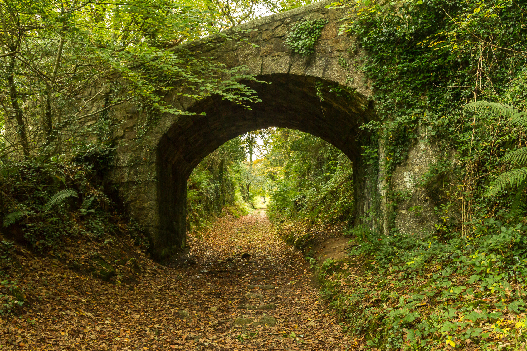 Canon EOS 7D + Sigma 18-50mm f/2.8 Macro sample photo. Bridge over tramway photography