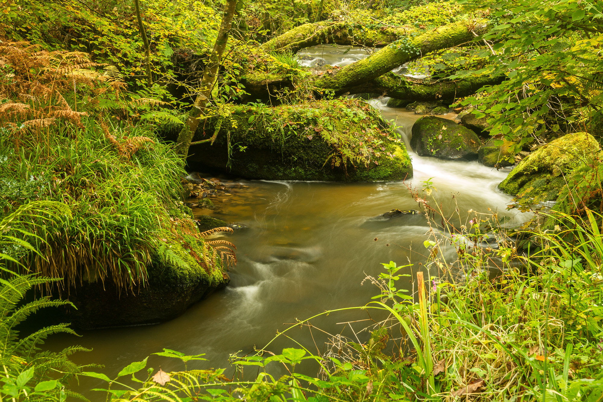 Canon EOS 7D + Sigma 18-50mm f/2.8 Macro sample photo. Woodland river. photography