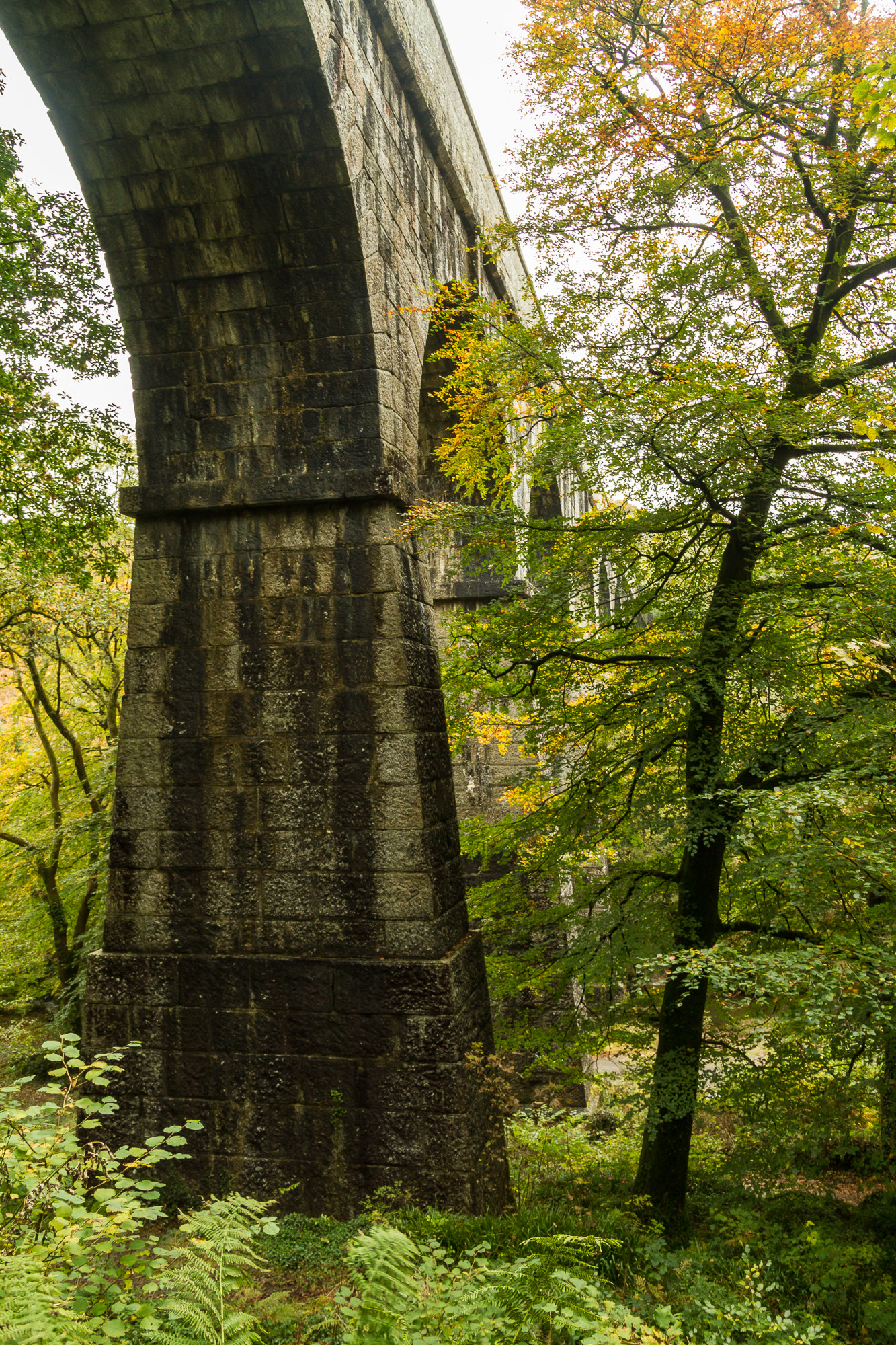 Canon EOS 7D + Sigma 18-50mm f/2.8 Macro sample photo. Treffry viaduct photography