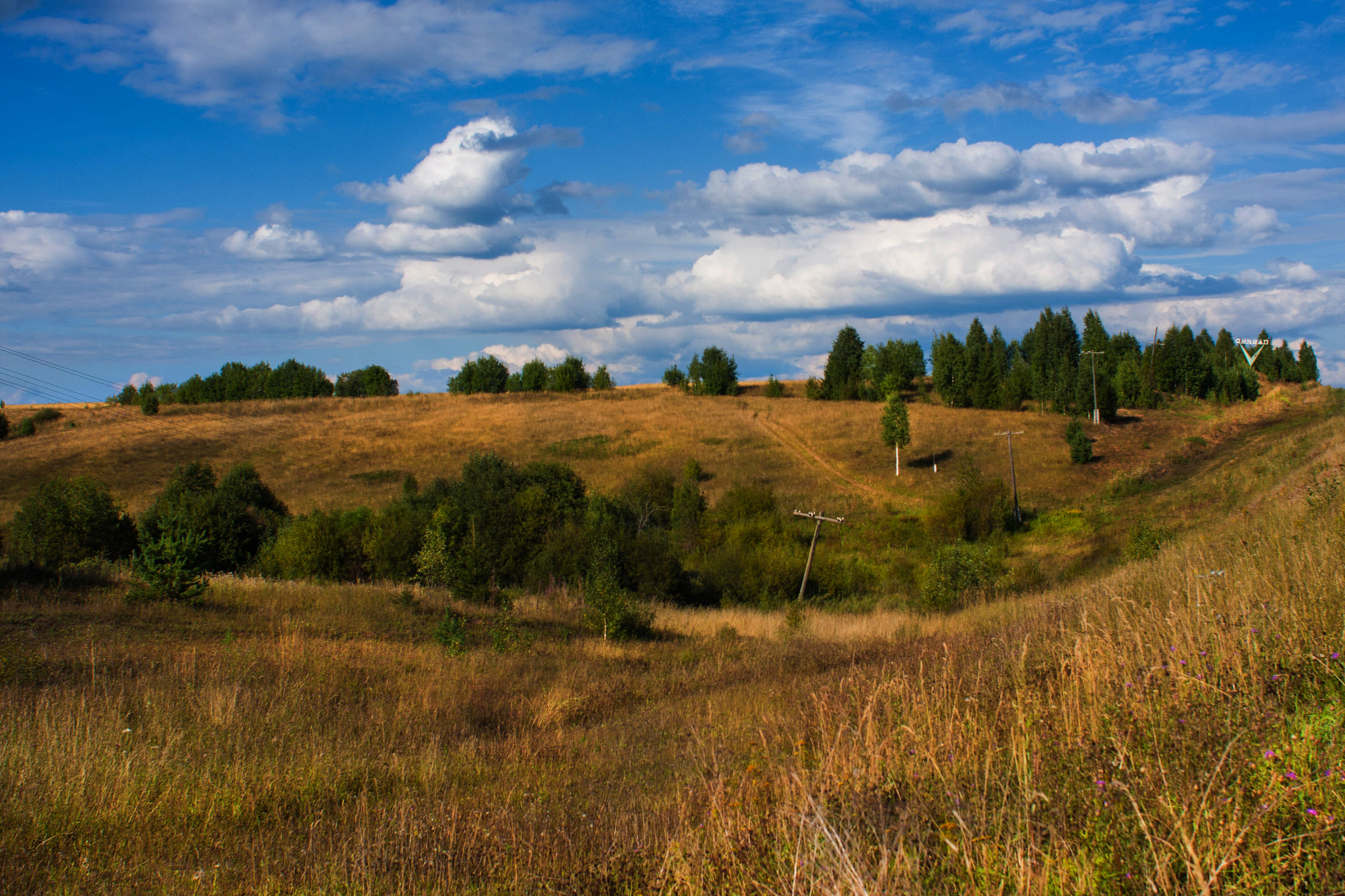 Canon EOS 40D sample photo. Косогоры,низины,болота... photography