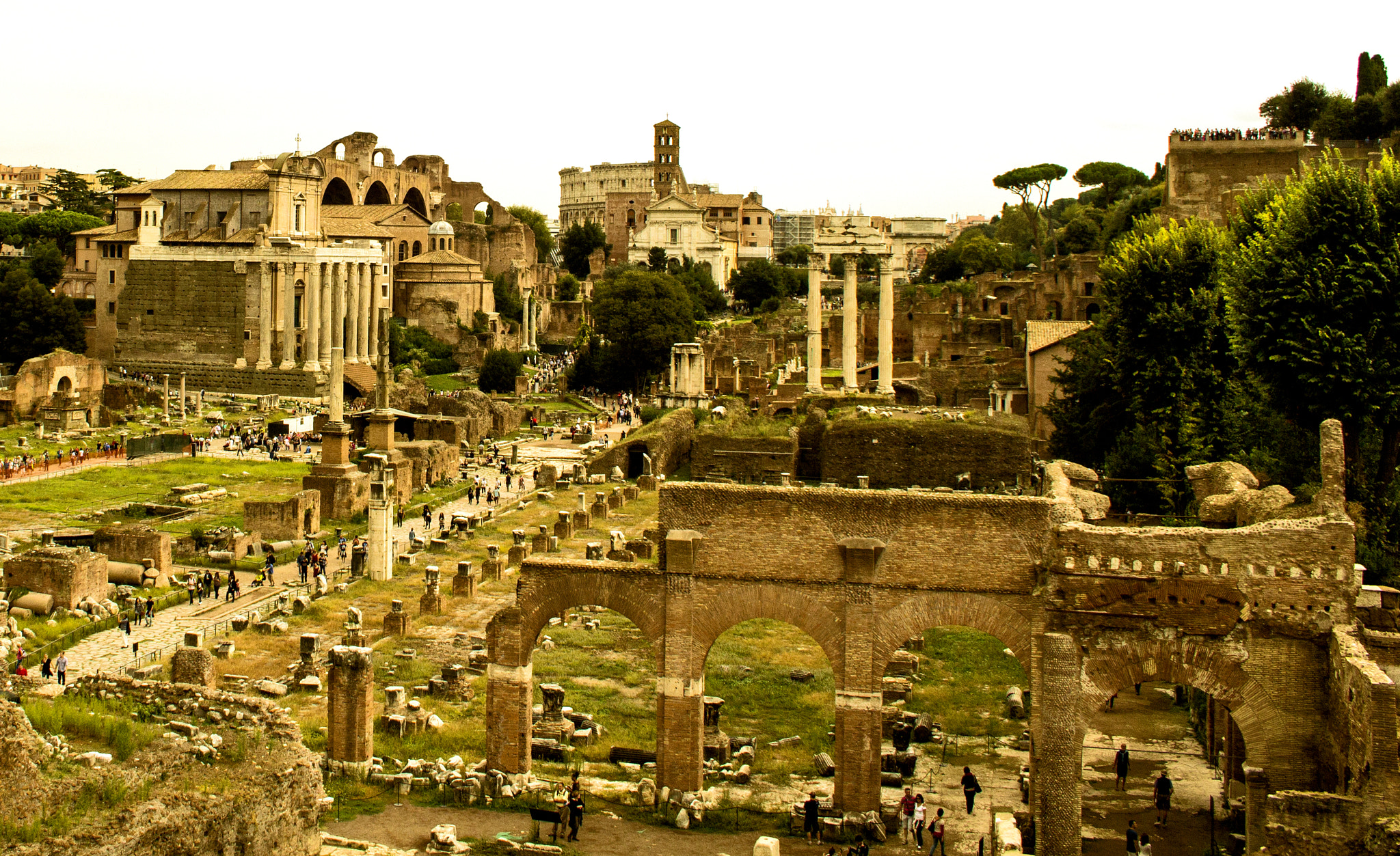 Canon EF-S 18-55mm F3.5-5.6 II sample photo. Forum romanum, rome, italy photography