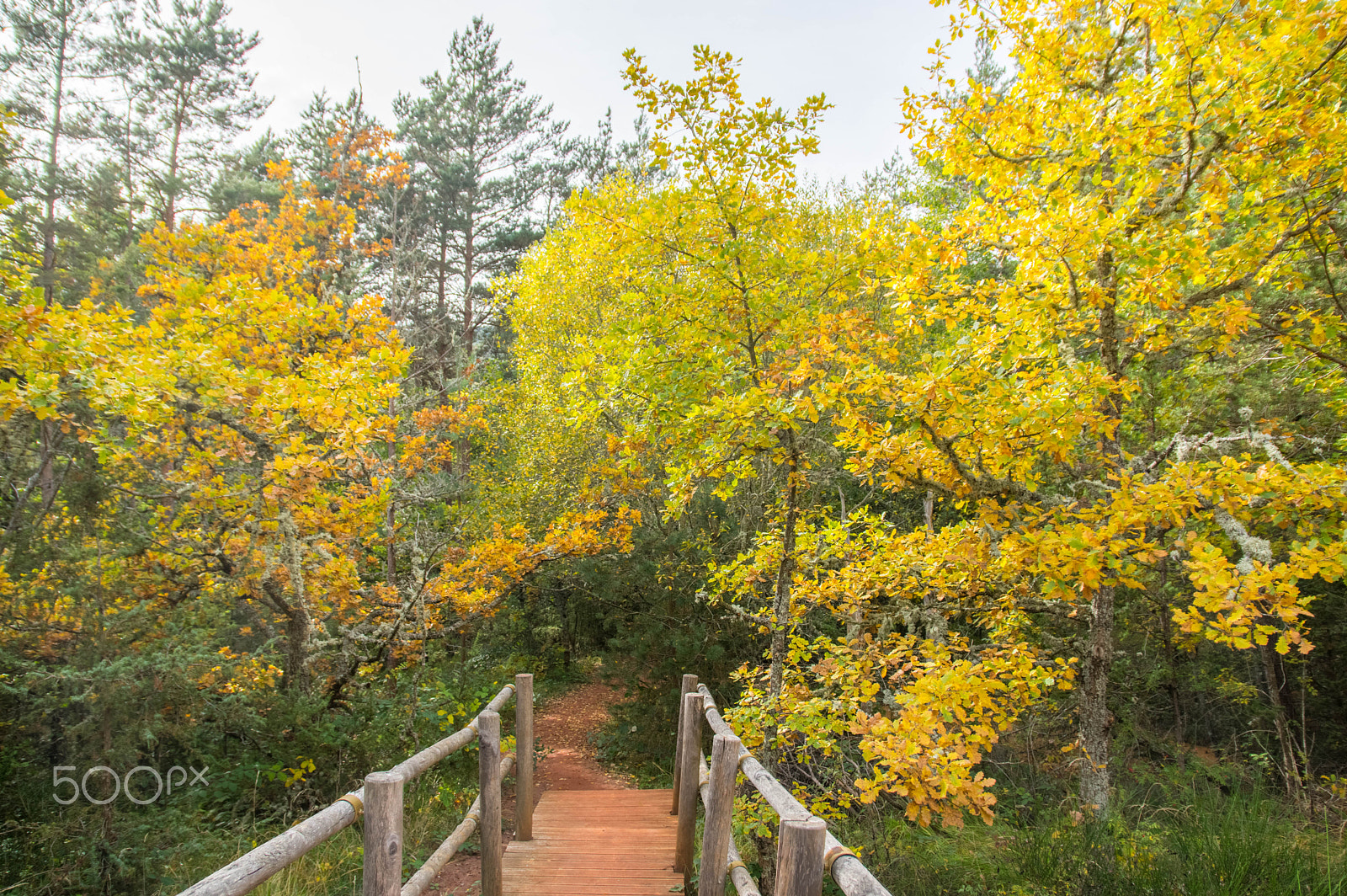 Pentax K-3 sample photo. Automne vallée des saints photography