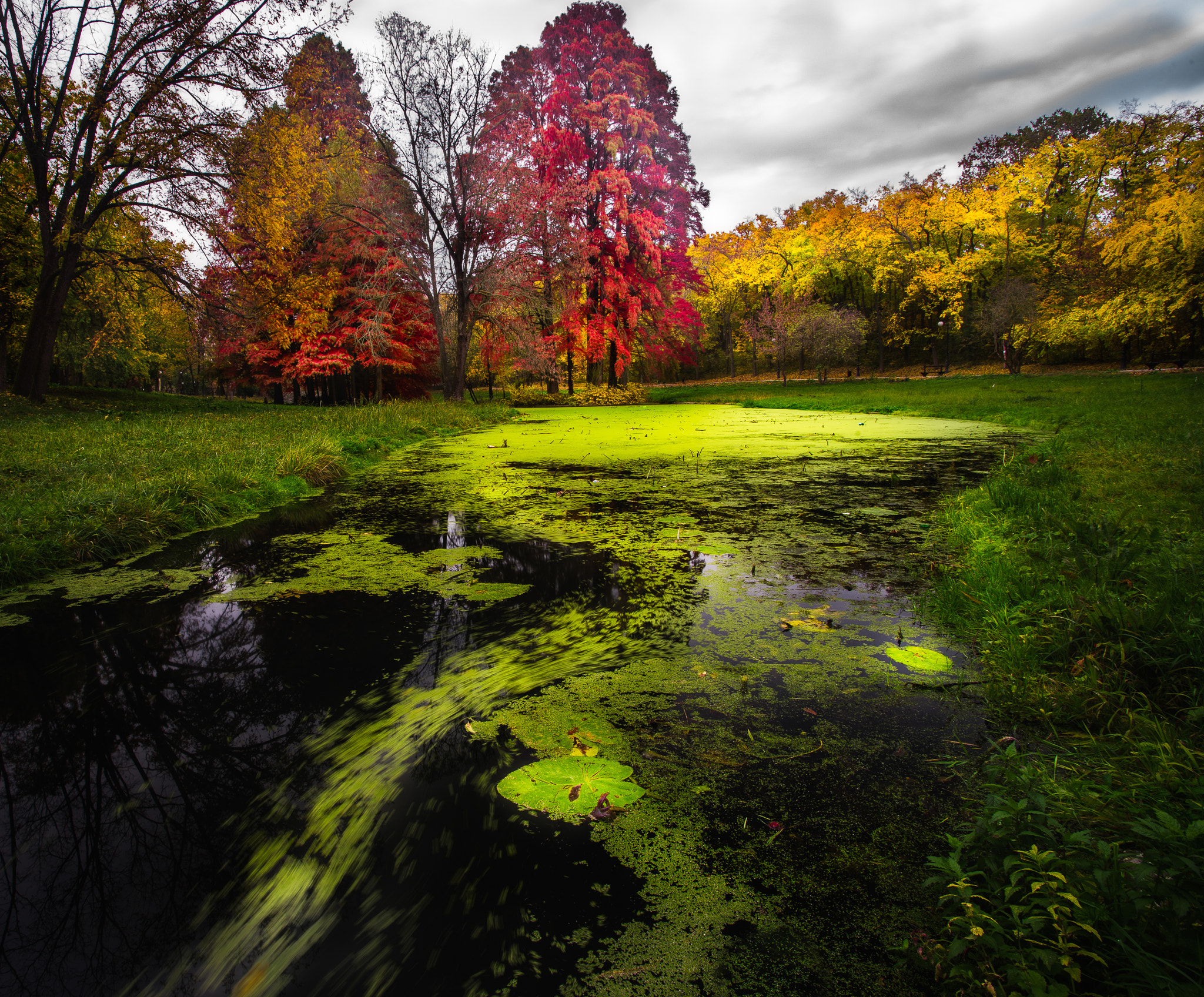 Sony a7 + Canon EF 17-40mm F4L USM sample photo. Heaven  photography