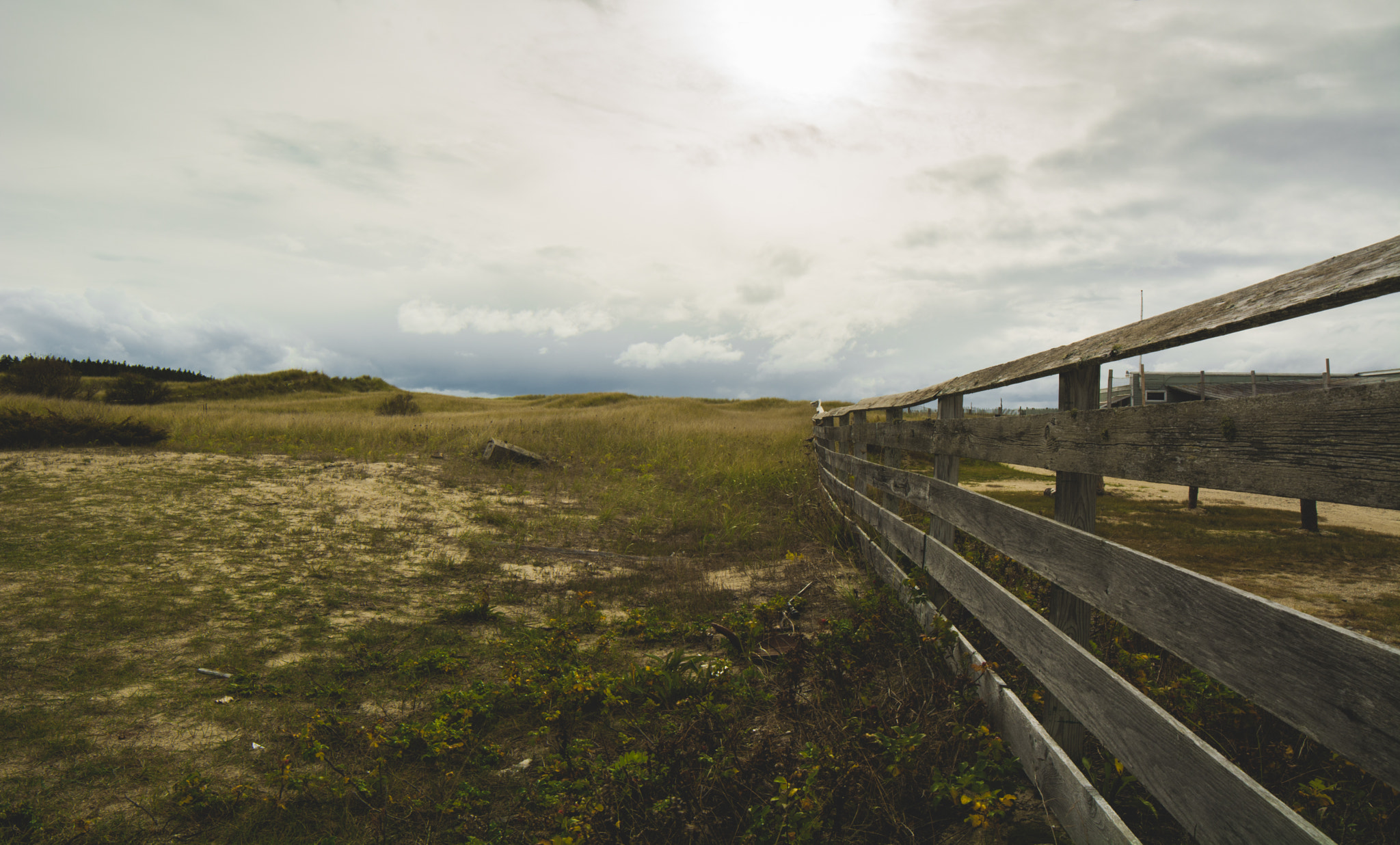 Samyang 14mm F2.8 ED AS IF UMC sample photo. On the fence photography