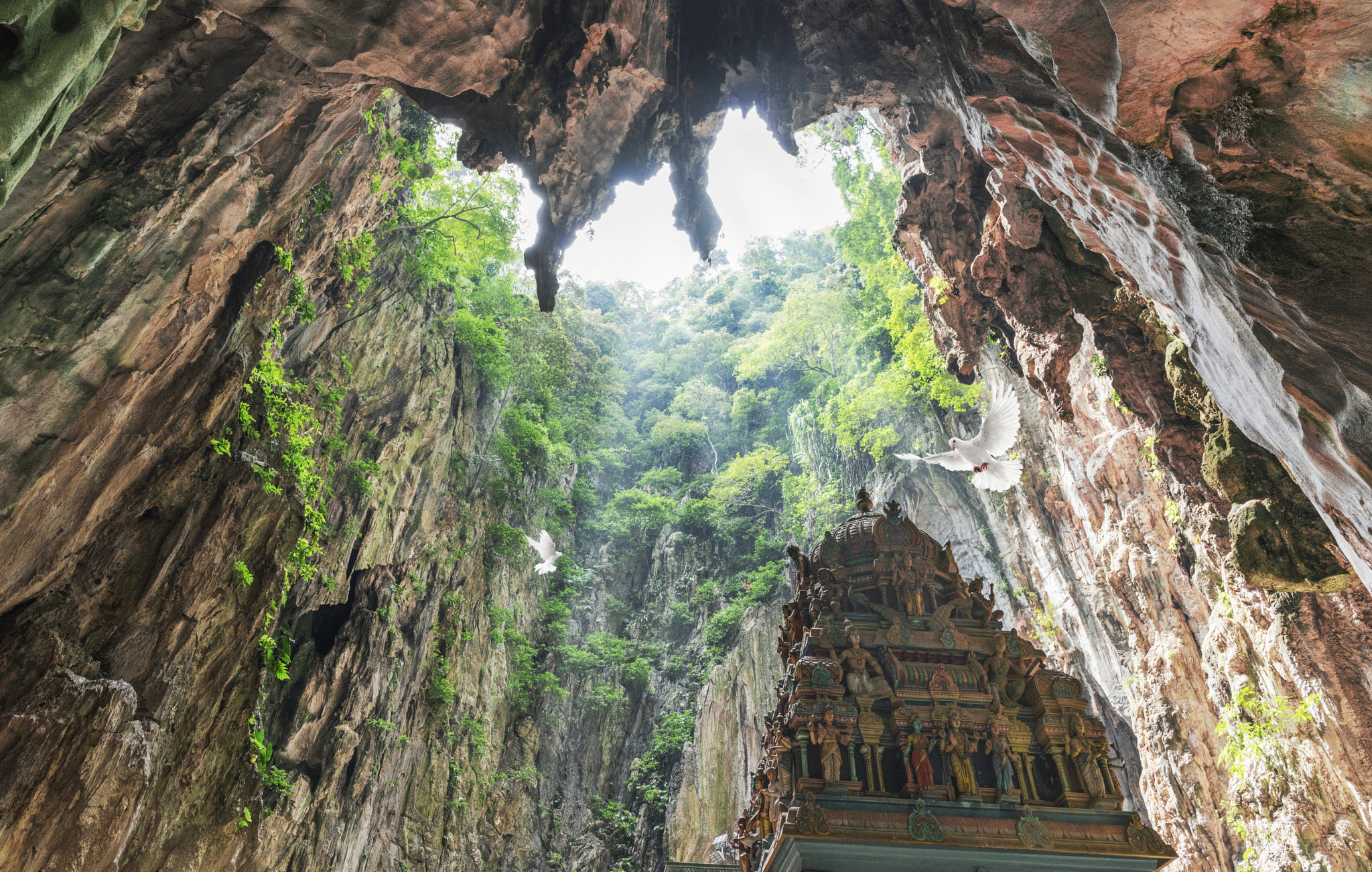 Sony a7 II + ZEISS Batis 25mm F2 sample photo. Murugan temple photography