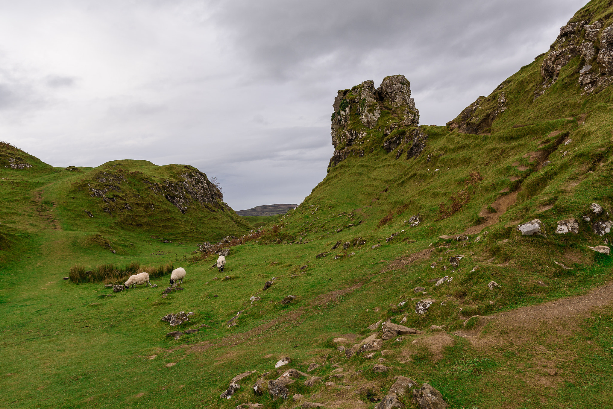 Nikon AF-S Nikkor 200-400mm F4G ED-IF VR sample photo. Fairy glen photography