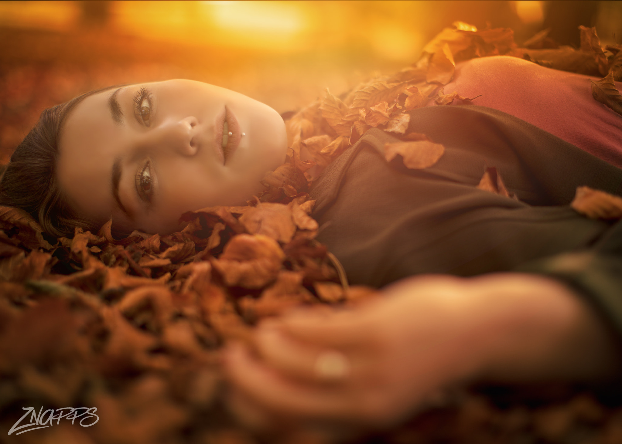 Canon EOS 5DS + Canon EF 50mm F1.2L USM sample photo. Autumn beauty photography
