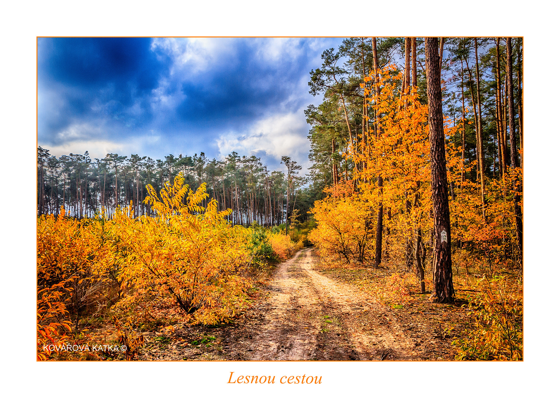 Canon EF 75-300mm F4.0-5.6 IS USM sample photo. Lesnou cestou photography