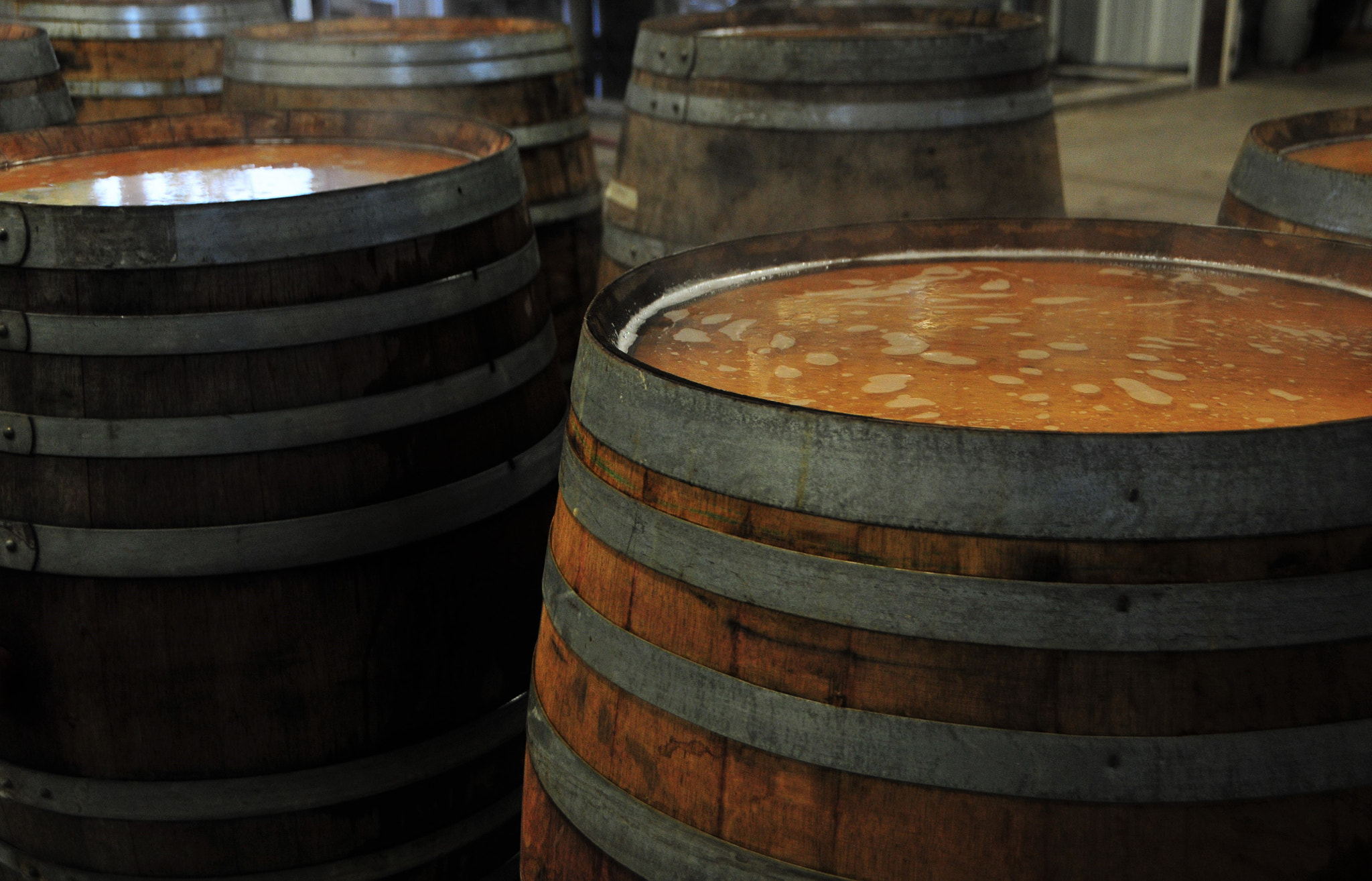 Nikon D300 sample photo. Barrels swelling photography