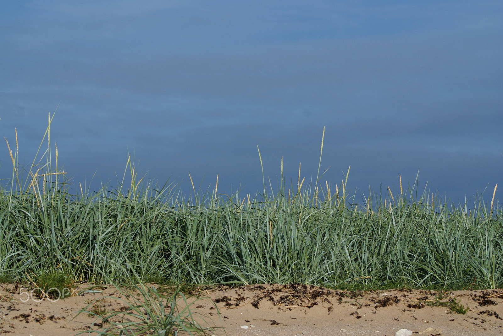Sony Alpha DSLR-A100 sample photo. Deep blue sky photography