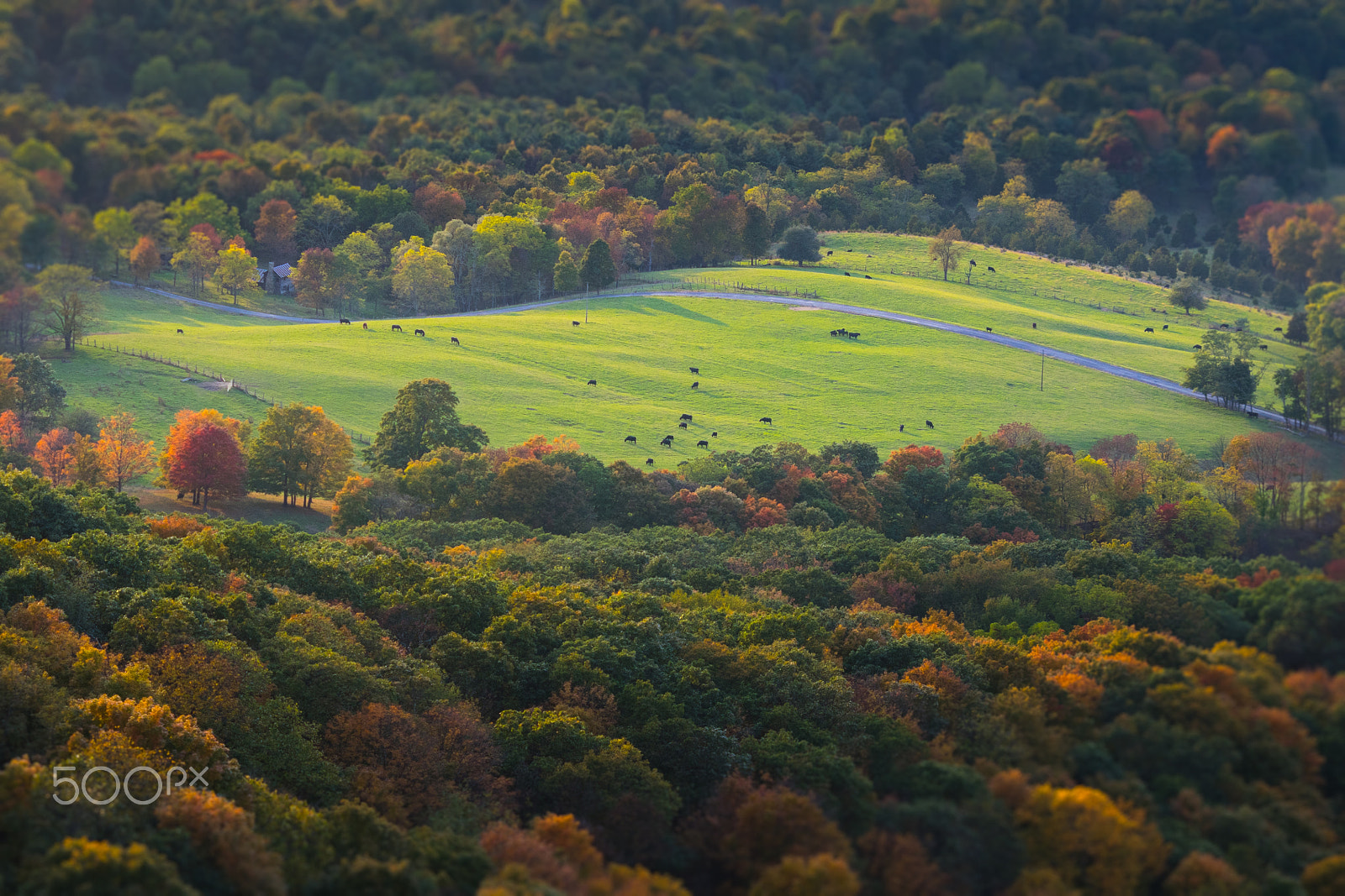 Pentax K-3 II sample photo. Views from north fork mountain 2 photography