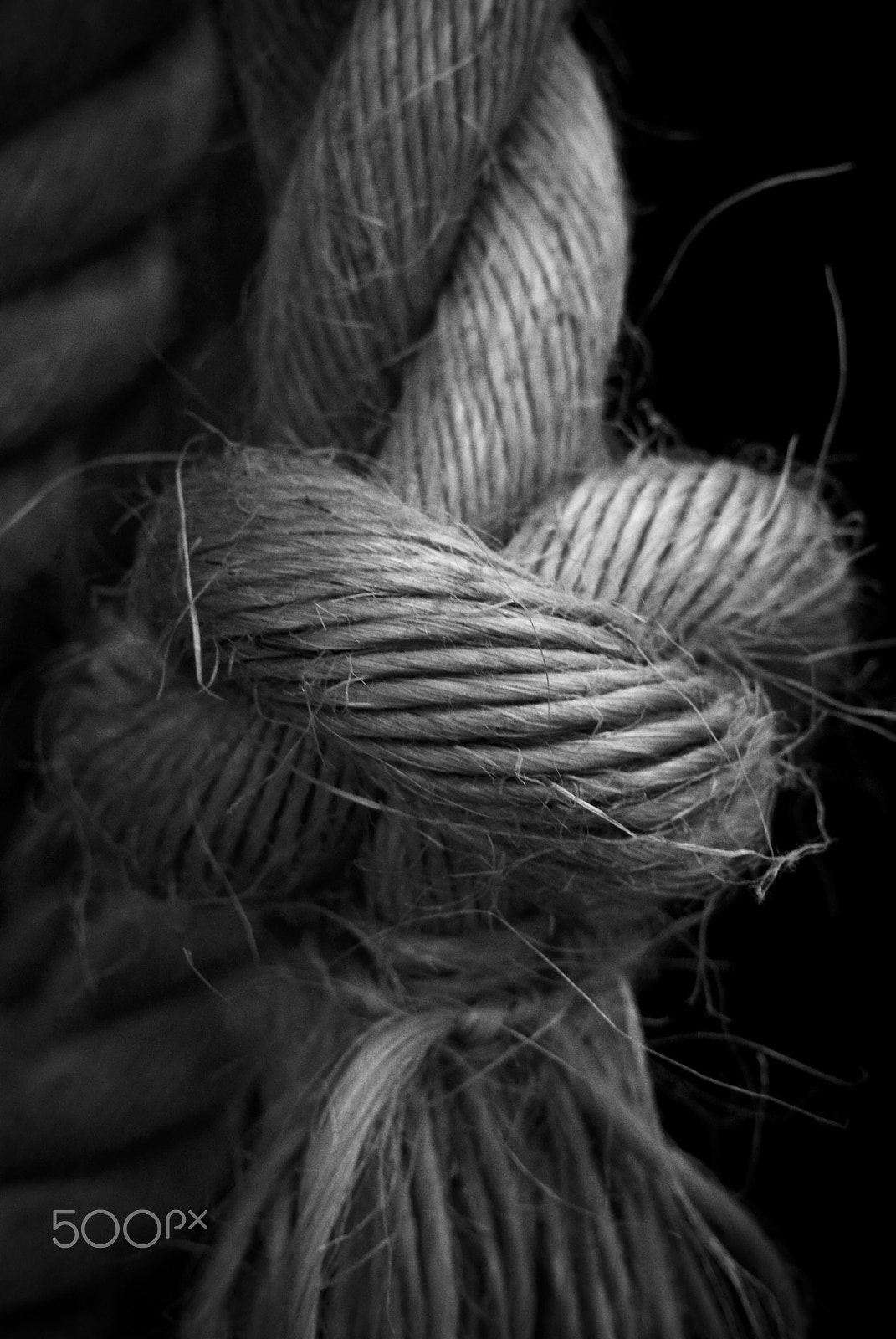 Nikon 1 Nikkor 18.5mm F1.8 sample photo. Kanji museum knot photography