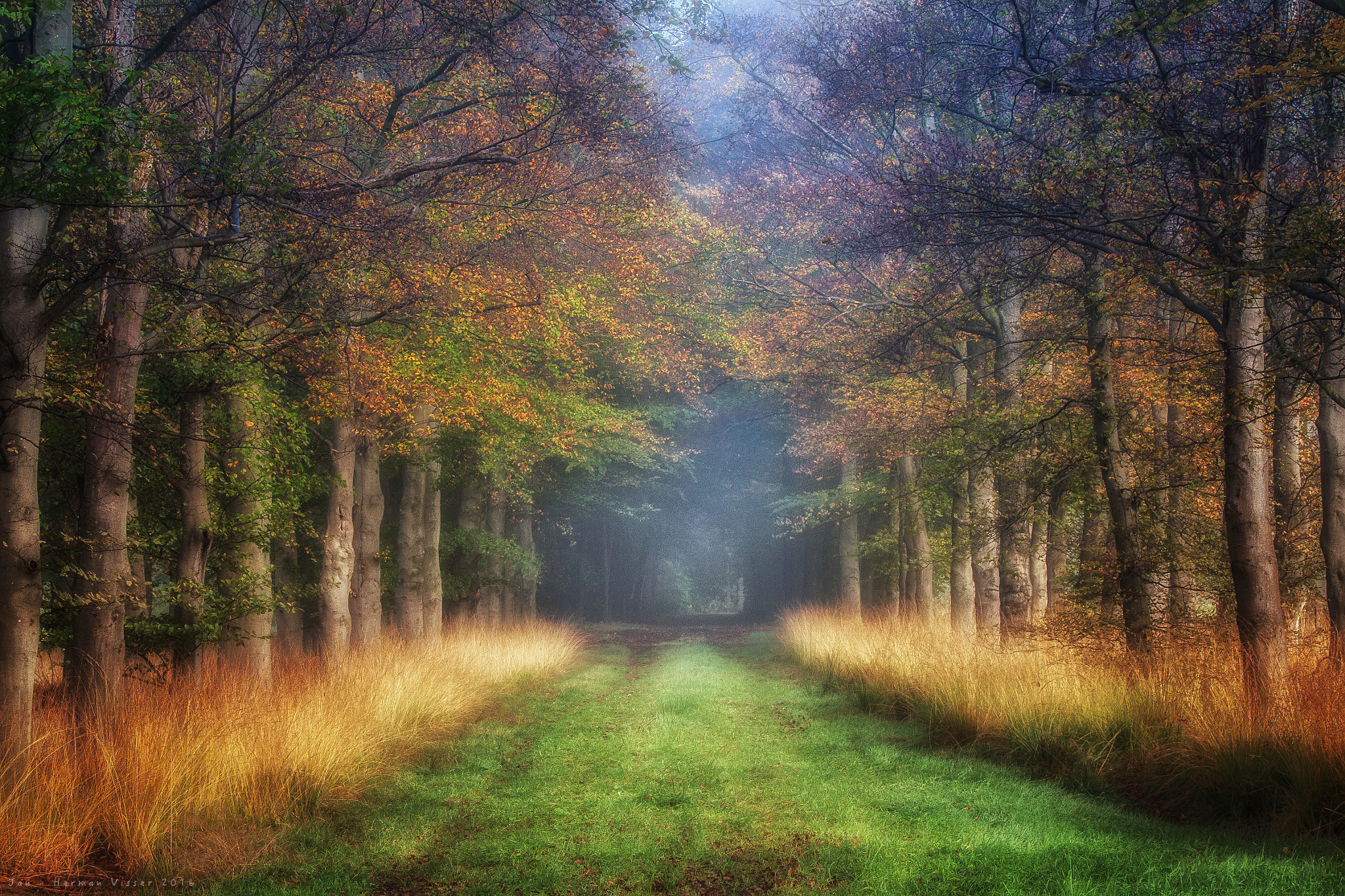 Canon EF 50-200mm f/3.5-4.5 sample photo. The dutch fall.. photography