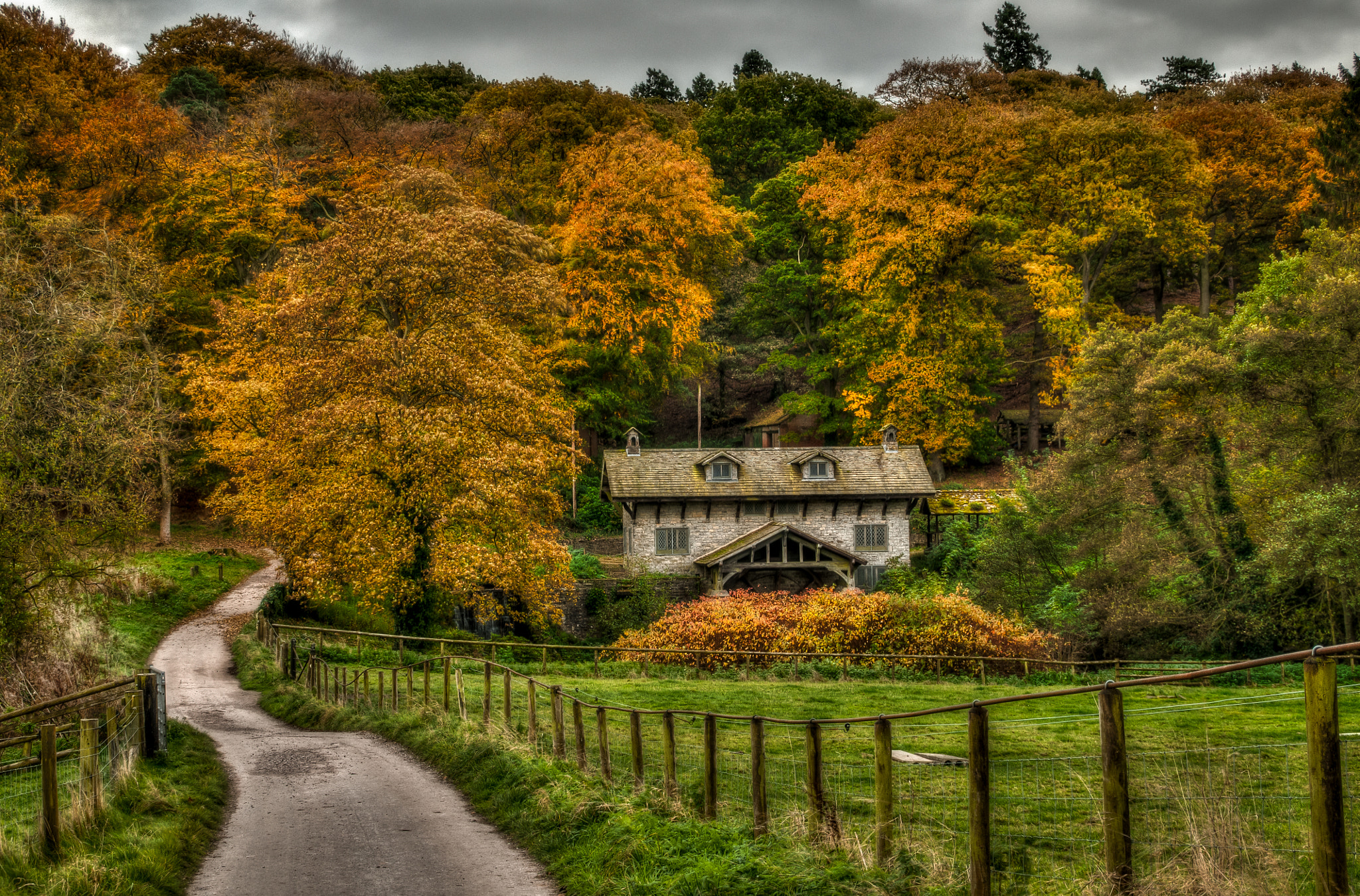 Nikon D300S sample photo. Autumn colours at osmaston saw mill photography