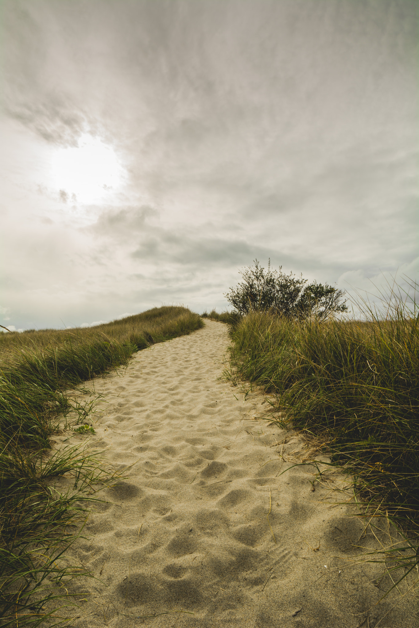 Samyang 14mm F2.8 ED AS IF UMC sample photo. Up the path photography
