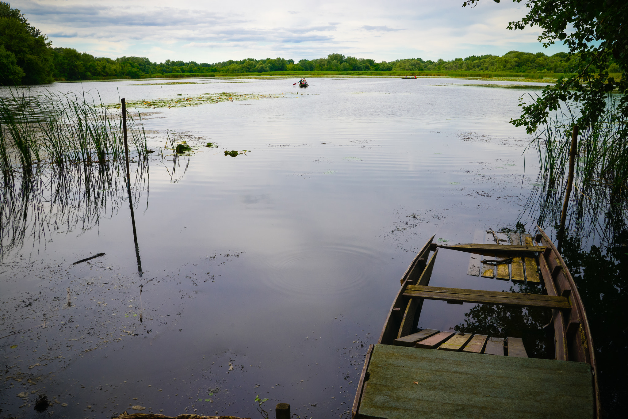 Nikon D800 sample photo. At the lake photography