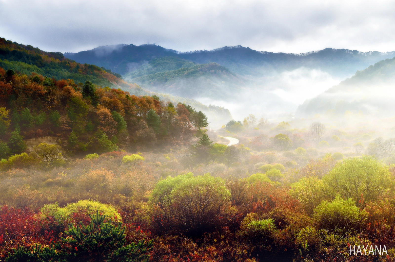 Nikon AF-S Nikkor 24-70mm F2.8E ED VR sample photo. Autumn of south korea photography