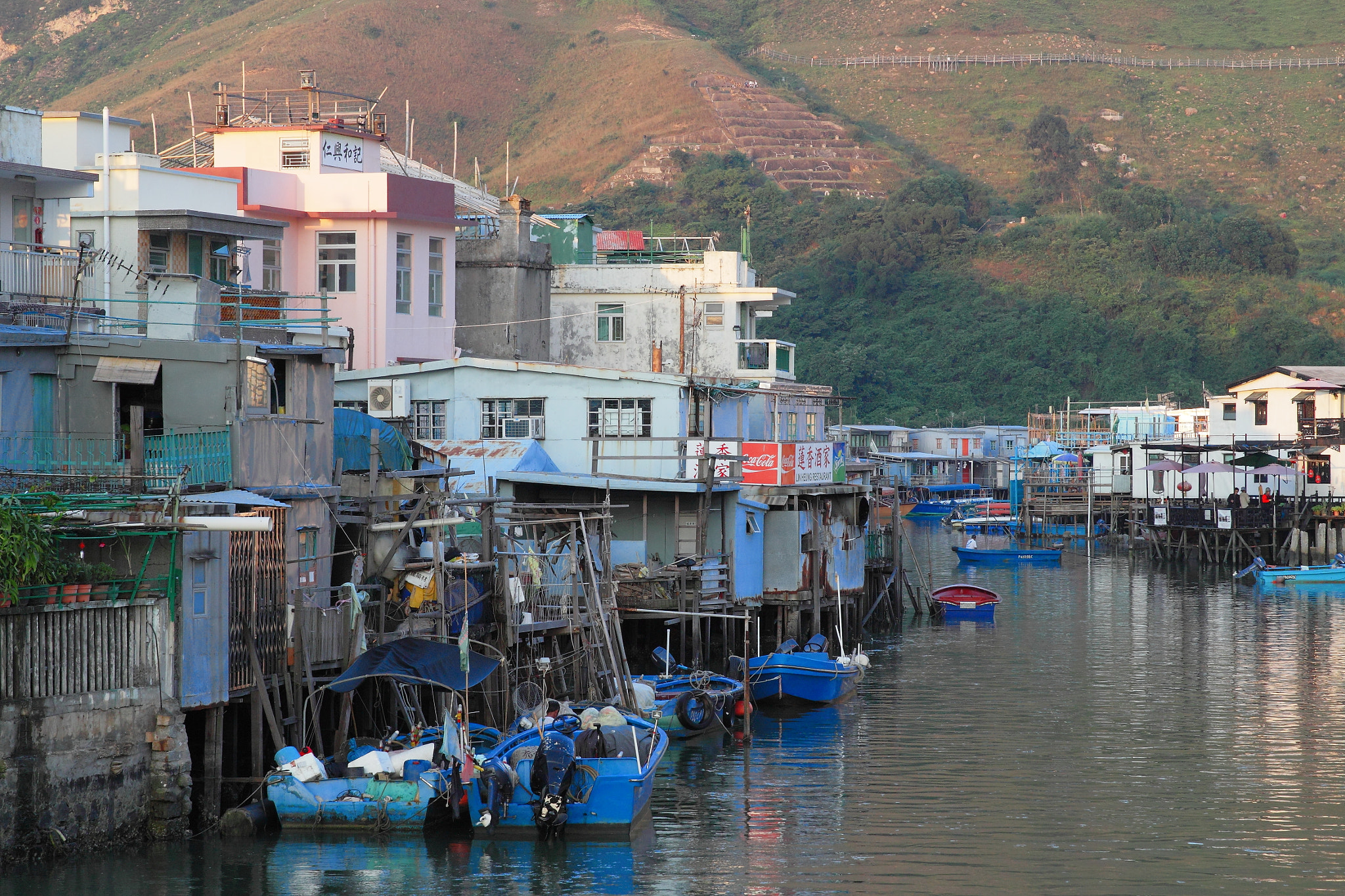 Canon EF 24-70mm F2.8L II USM sample photo. Tai o photography