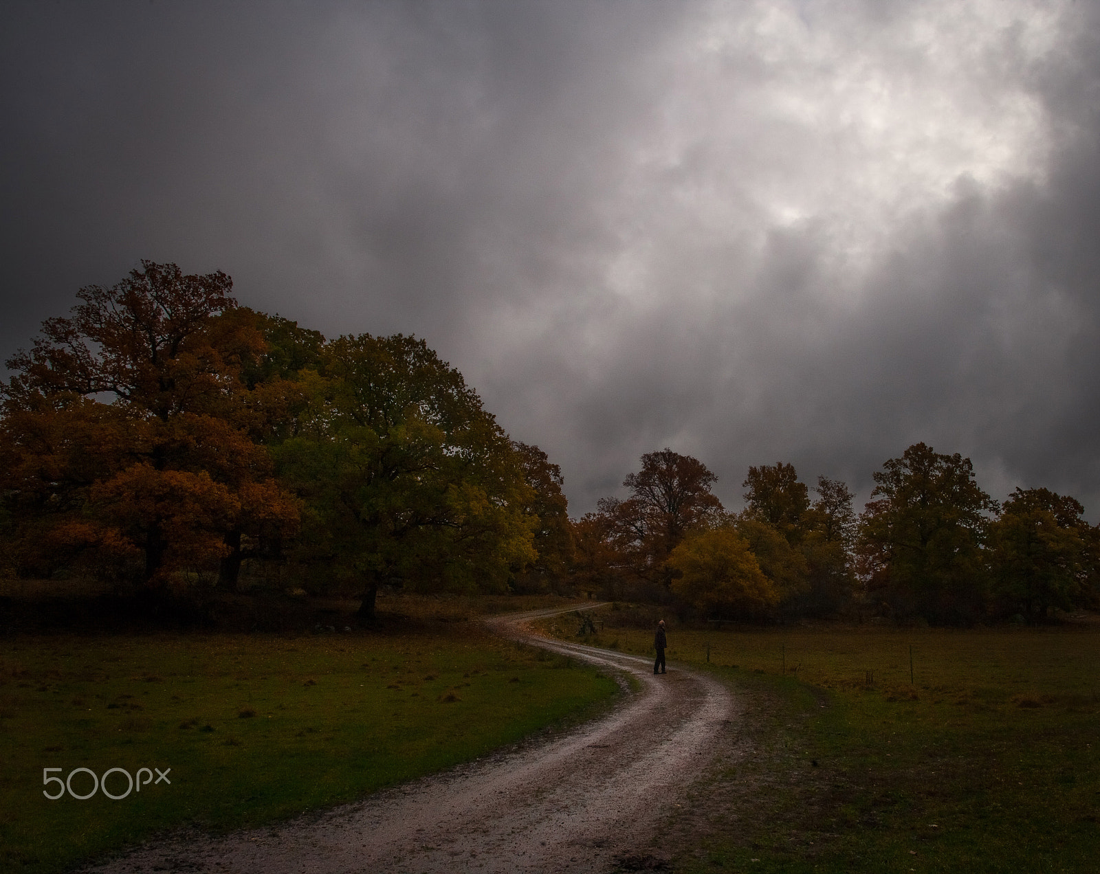 Canon EOS-1Ds Mark II + Canon EF 28-80mm f/2.8-4L sample photo. Scandinavian autumn photography