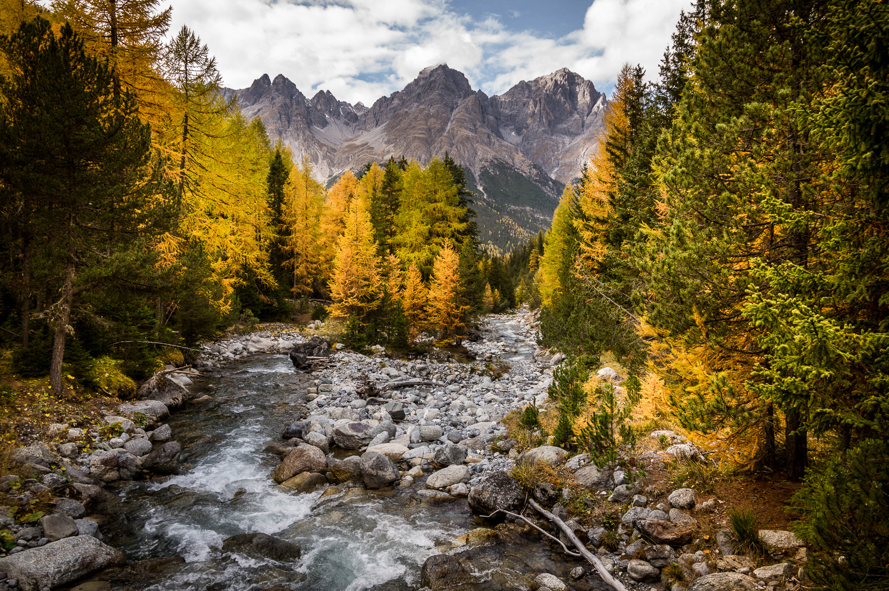 Pentax K-3 sample photo. Switzerland | autumn mountain forest photography