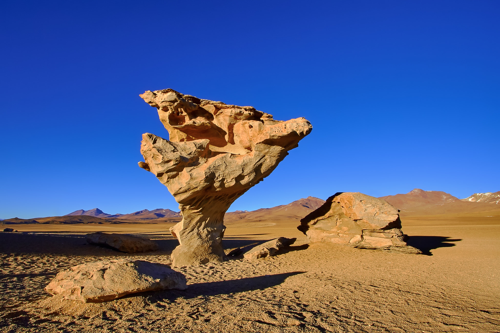 Canon EOS 30D sample photo. Arbol de piedra, bolivia photography