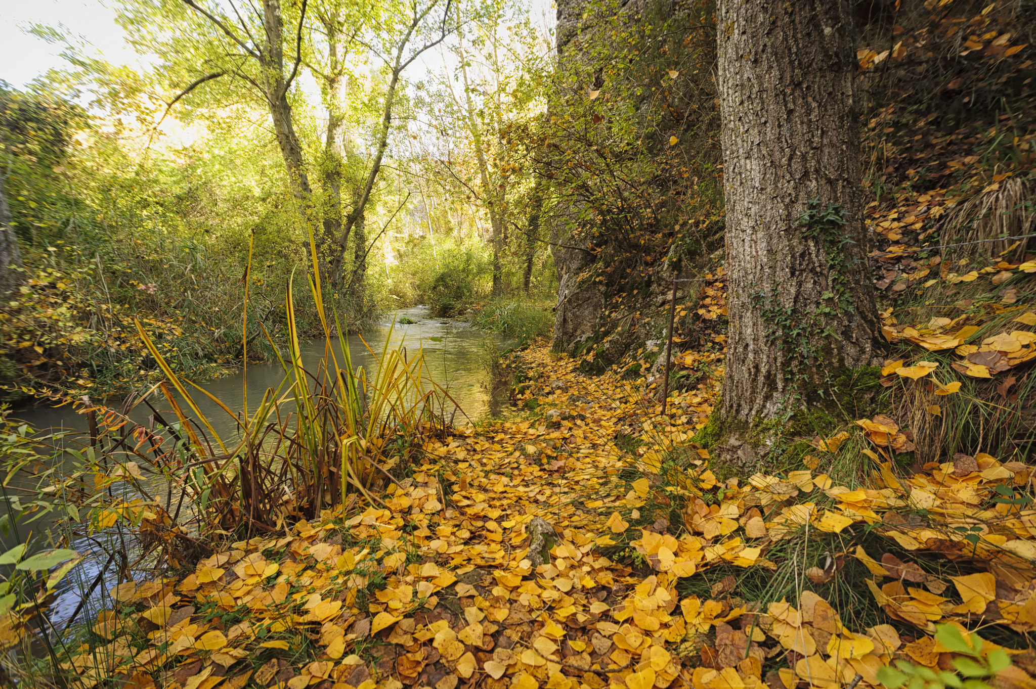 Sigma 14mm F2.8 EX Aspherical HSM sample photo. Ojos de moya photography