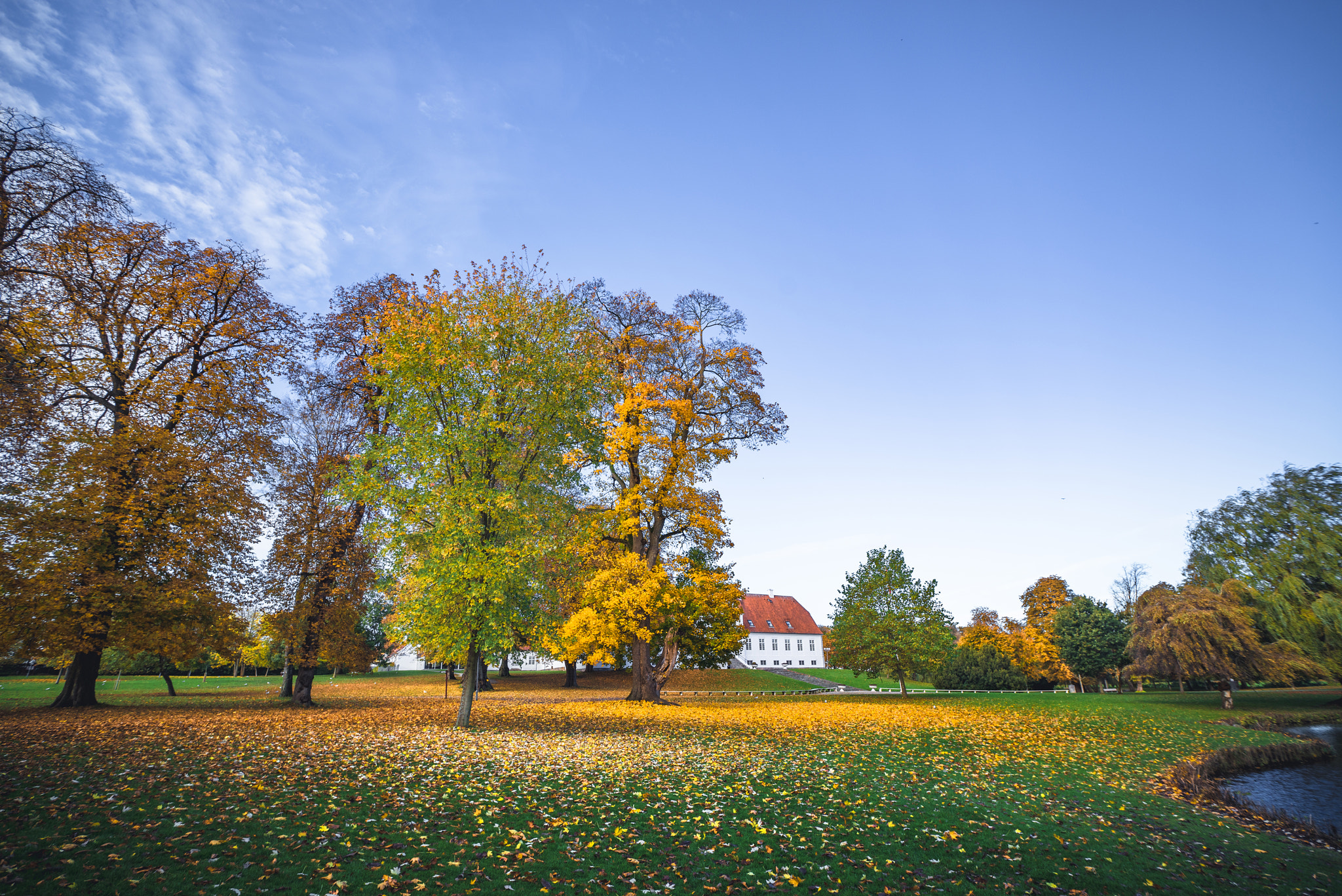 Sony a7R + Sony Vario-Sonnar T* 16-35mm F2.8 ZA SSM sample photo. Autumn landscape with fallen leaves photography