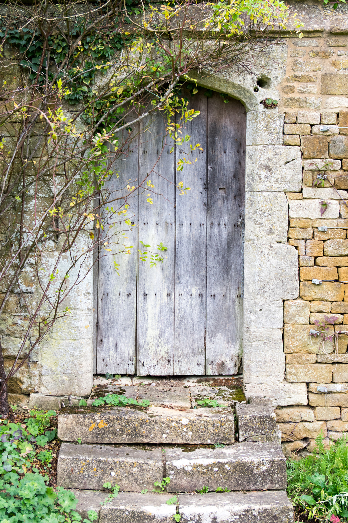 Sigma 17-50mm F2.8 EX DC HSM sample photo. The garden door photography