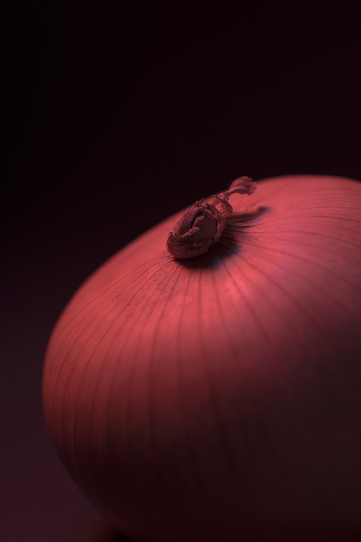 Nikon D750 + AF Micro-Nikkor 60mm f/2.8 sample photo. Onion photography