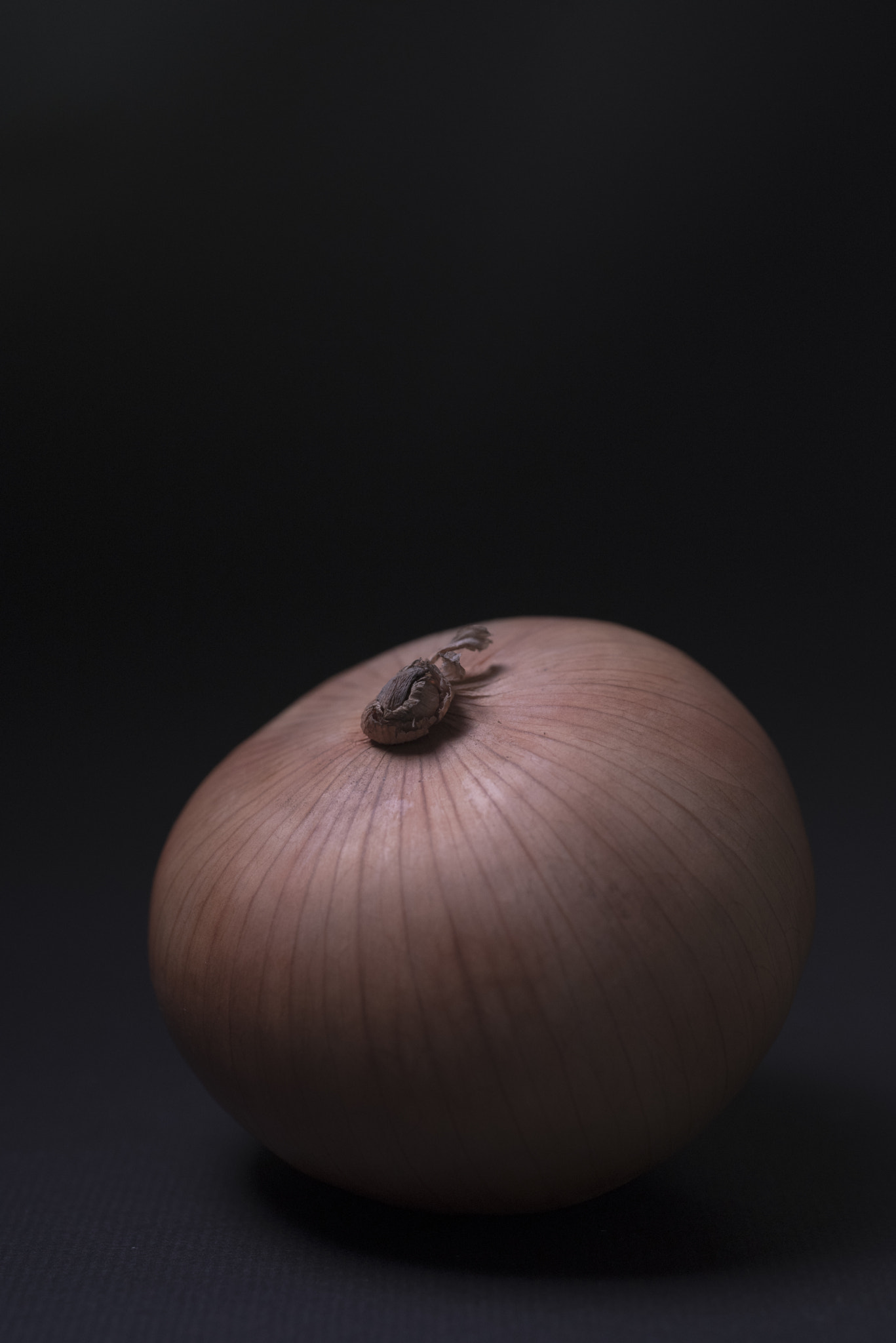 Nikon D750 + AF Micro-Nikkor 60mm f/2.8 sample photo. Onion photography
