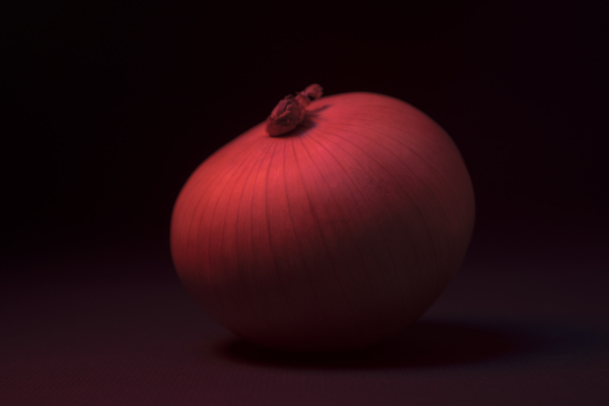 Nikon D750 + AF Micro-Nikkor 60mm f/2.8 sample photo. Onion photography