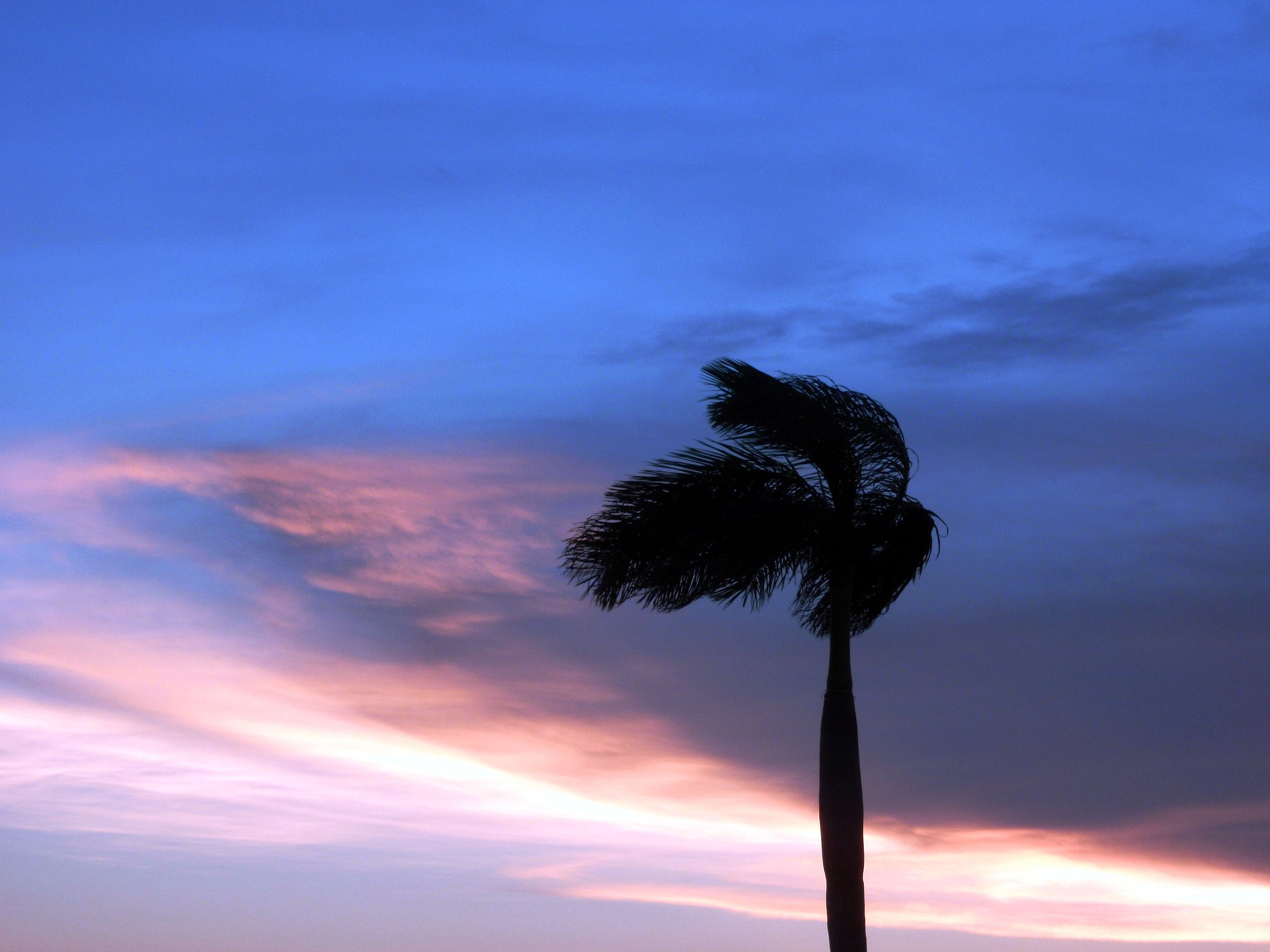 Olympus u9000,S9000 sample photo. Susnest in campeche photography