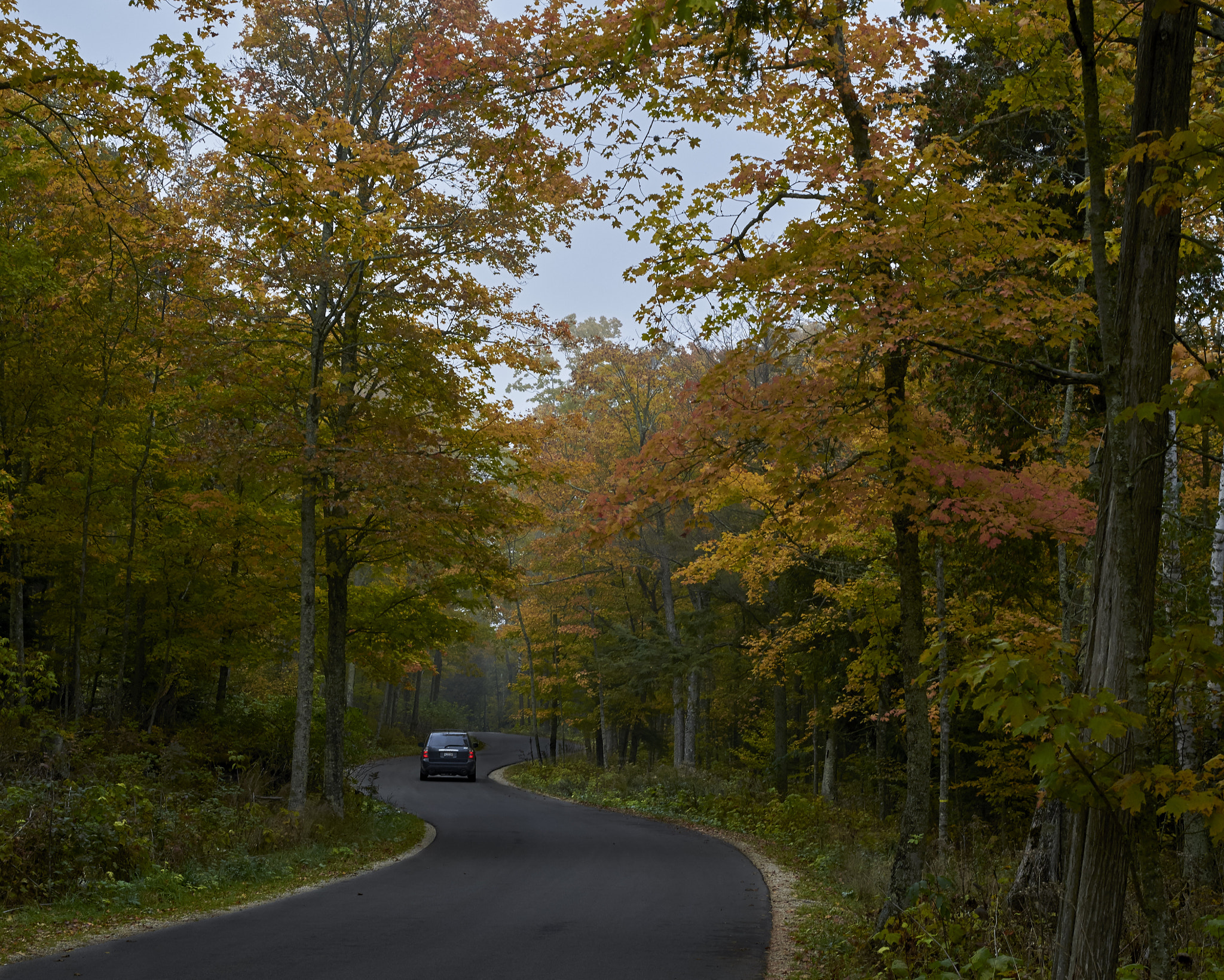 Nikon AF Nikkor 50mm F1.8D sample photo. Autumn road photography
