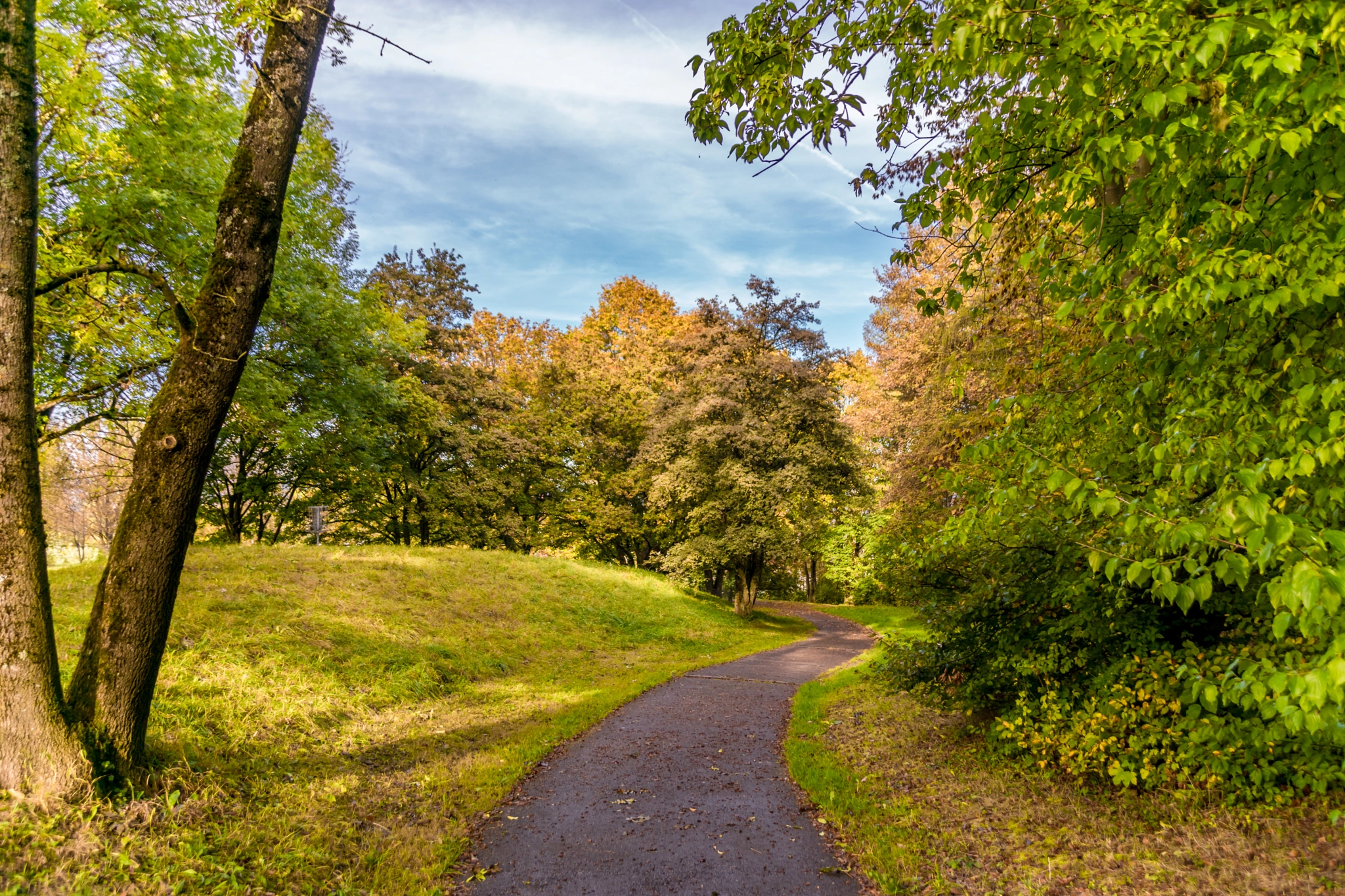 Sony ILCA-77M2 sample photo. Fall in zurich photography