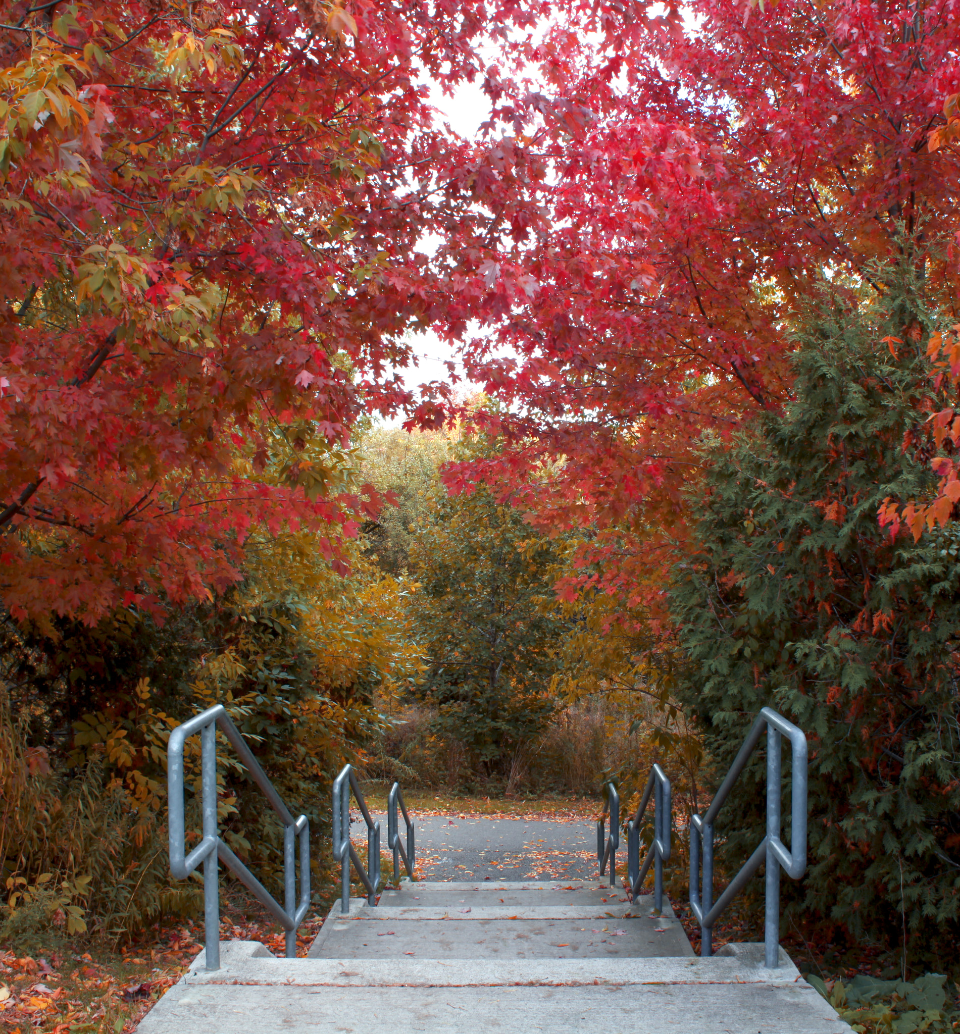 Canon EF 28-80mm f/3.5-5.6 USM IV sample photo. Autumn diaries photography